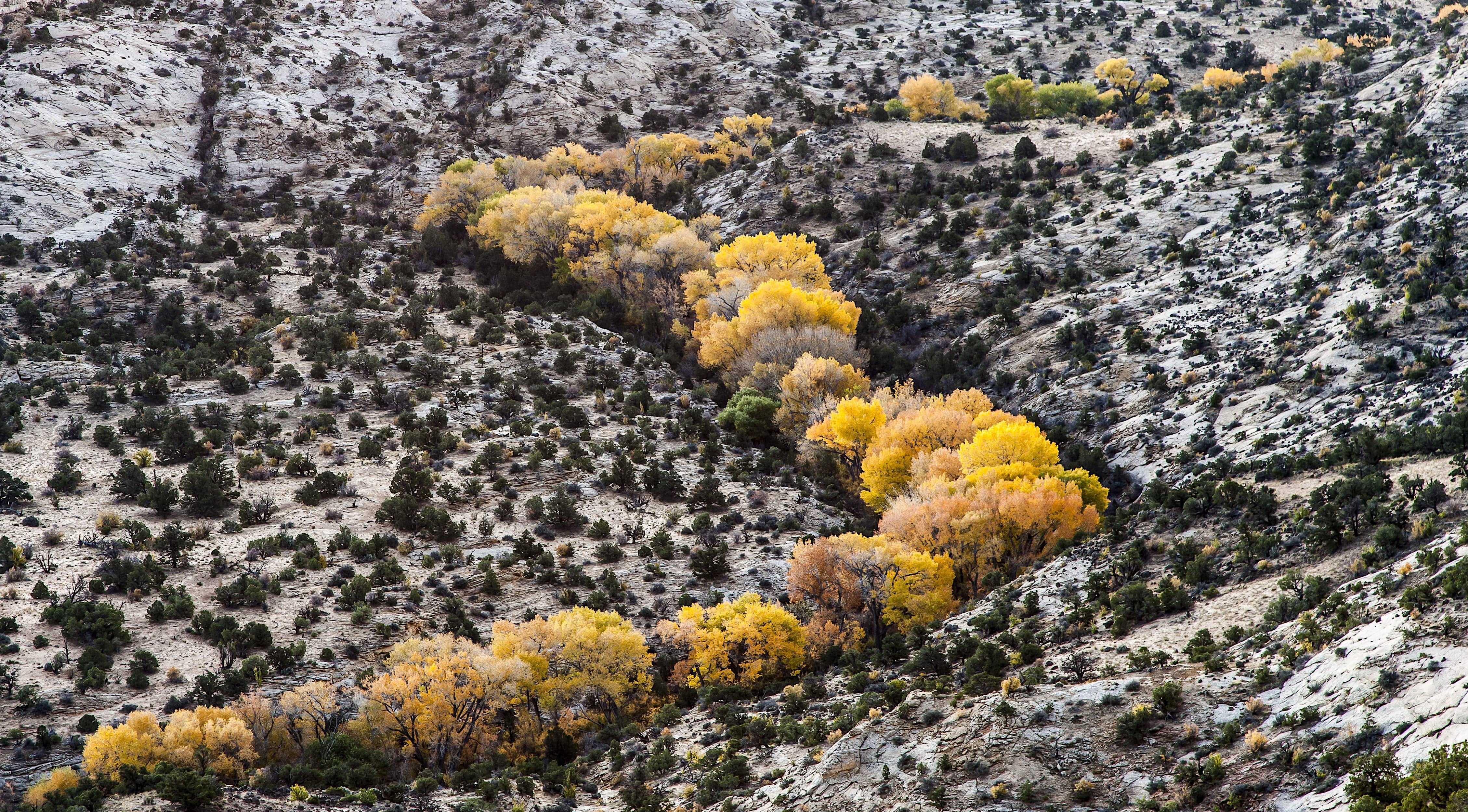 The American West 01 