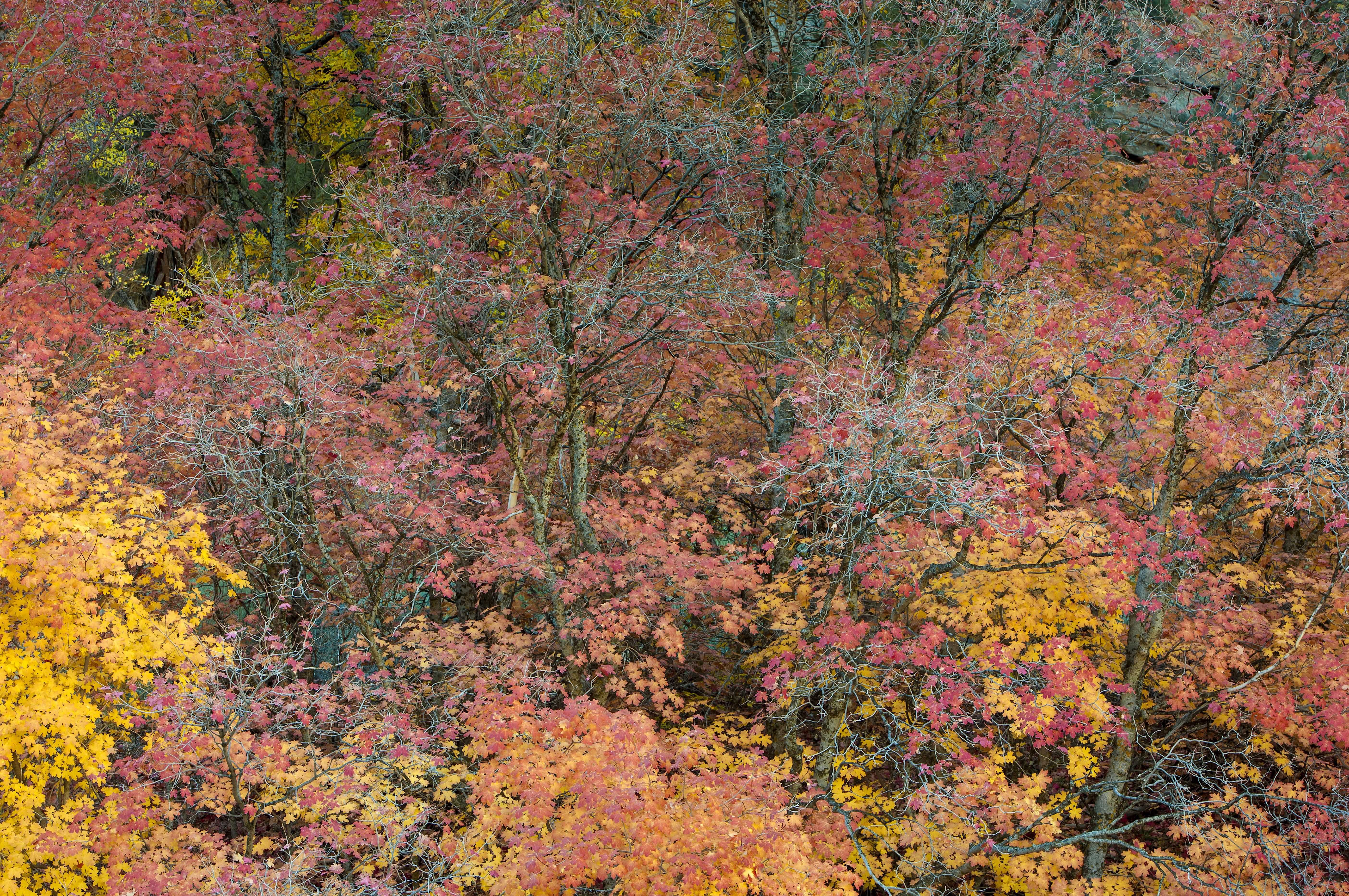 The American West 10 