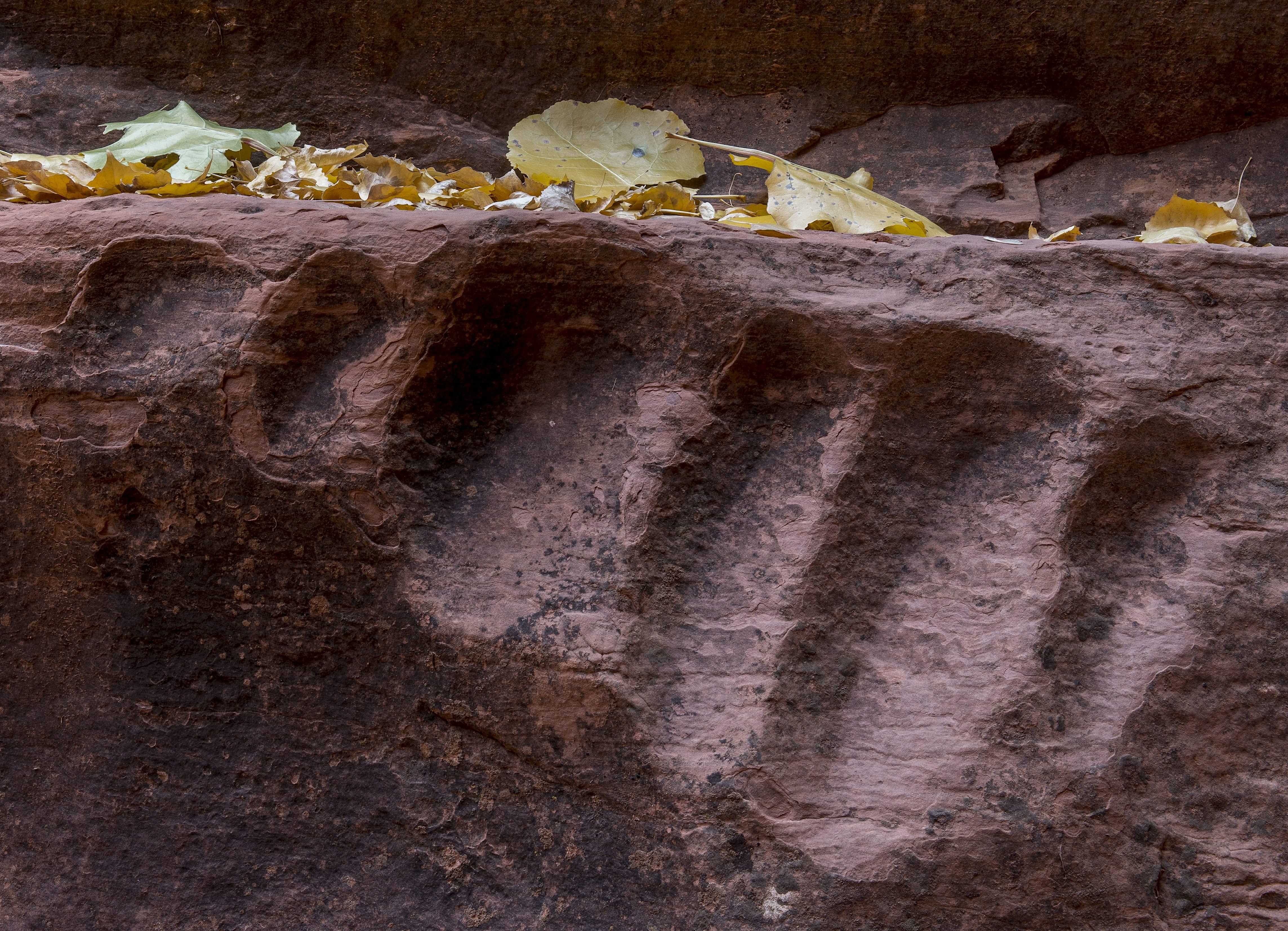 The American West 11 