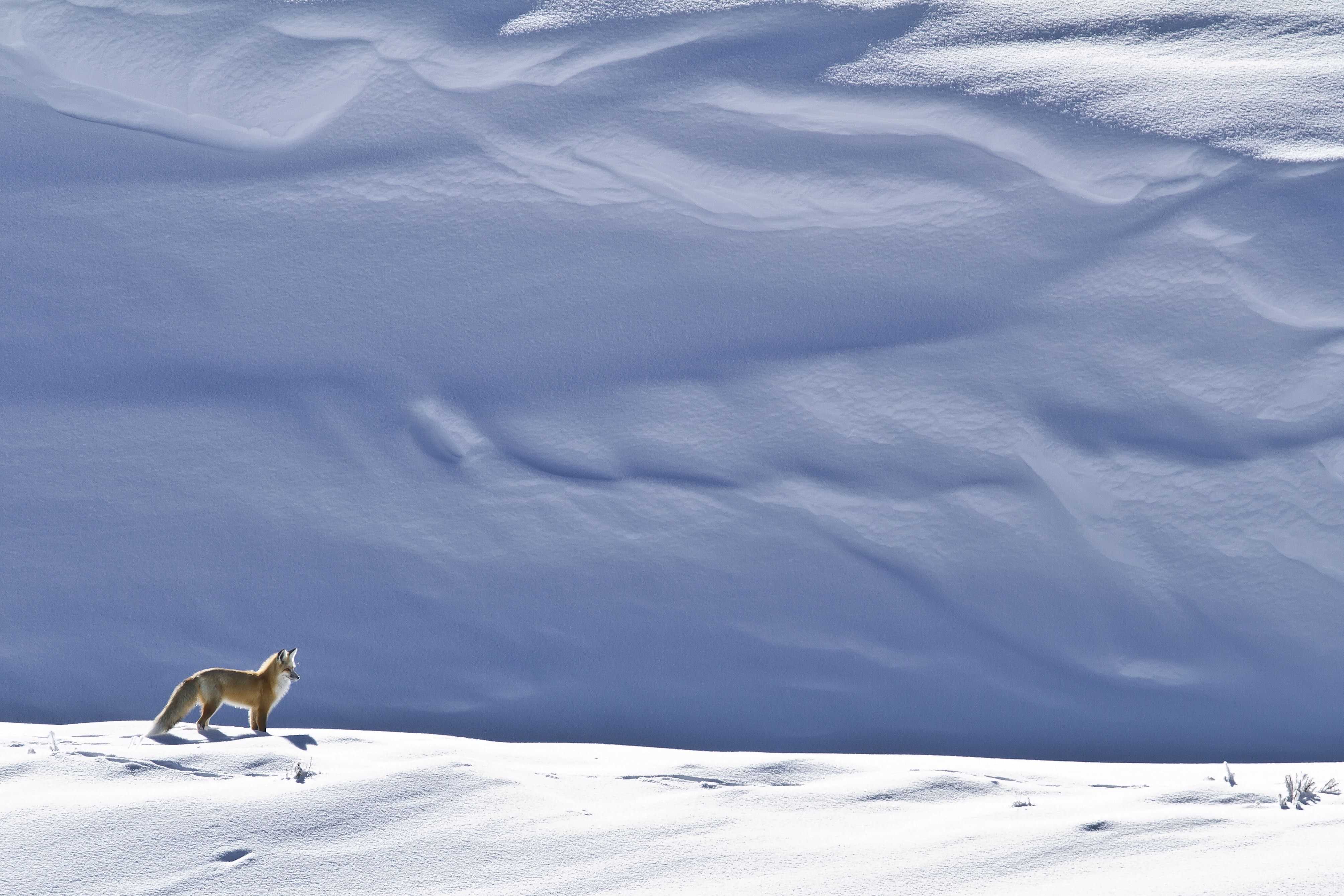 The American West 12 