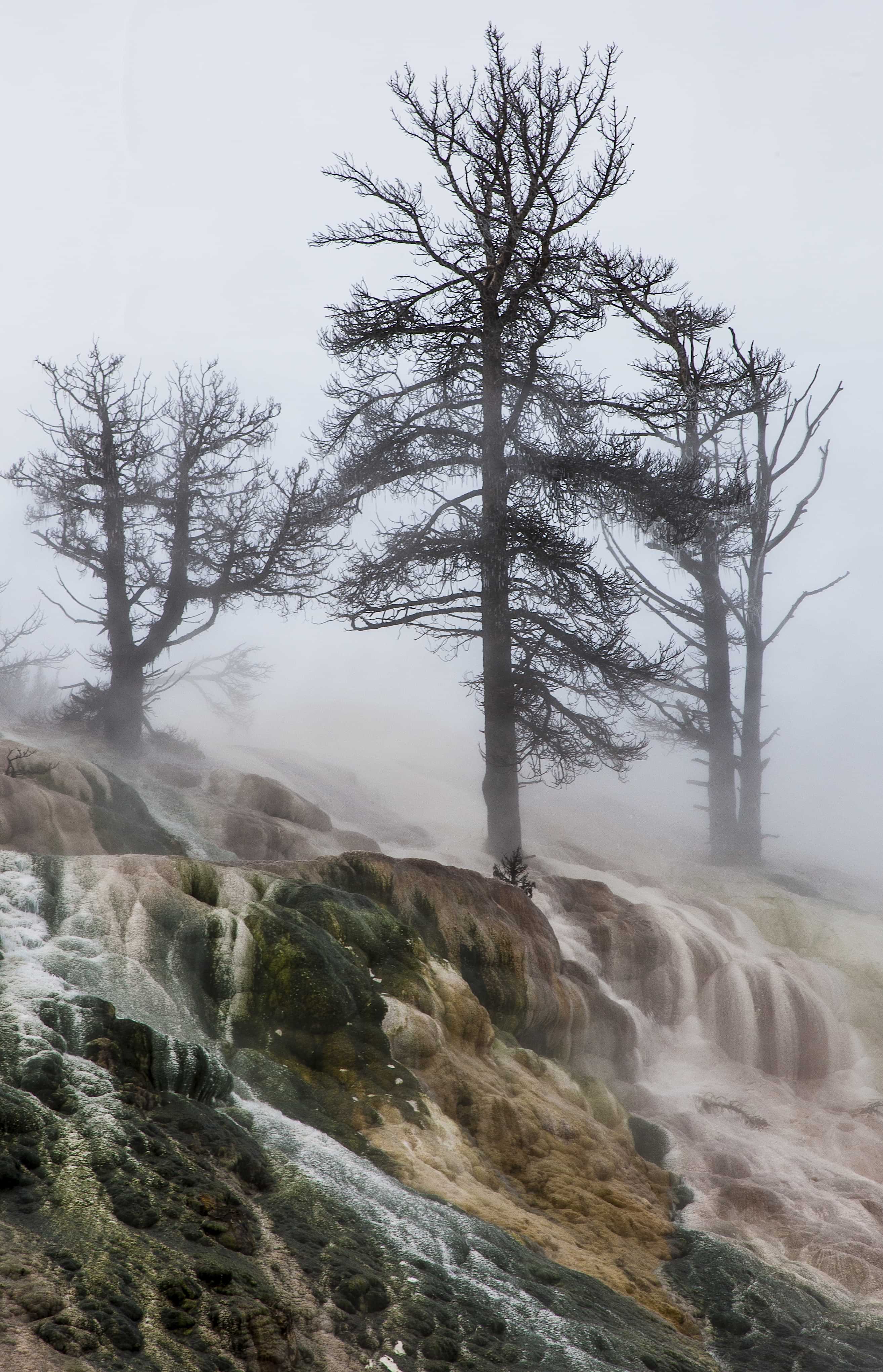 The American West 14 