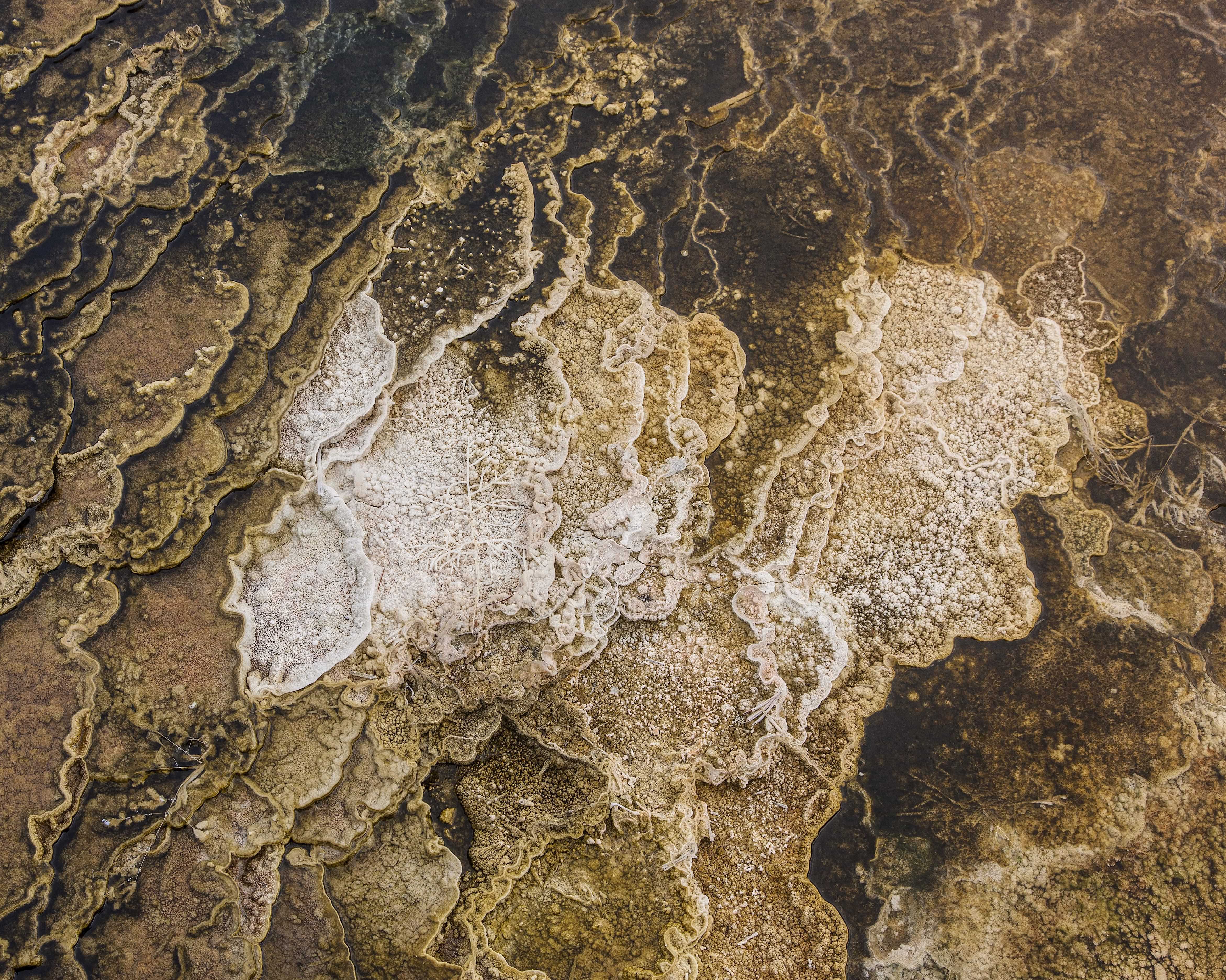 The American West 15 