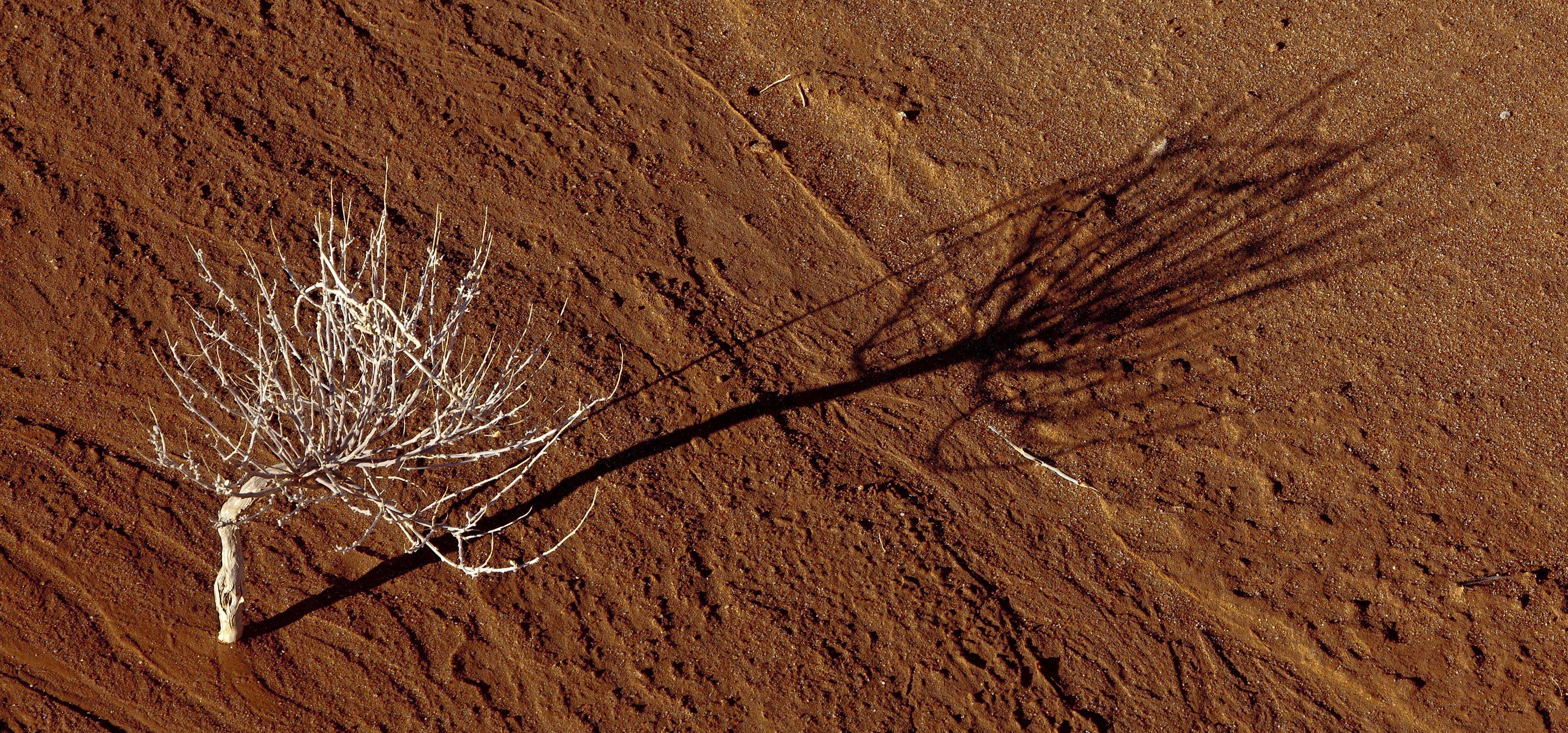 The American West 25 