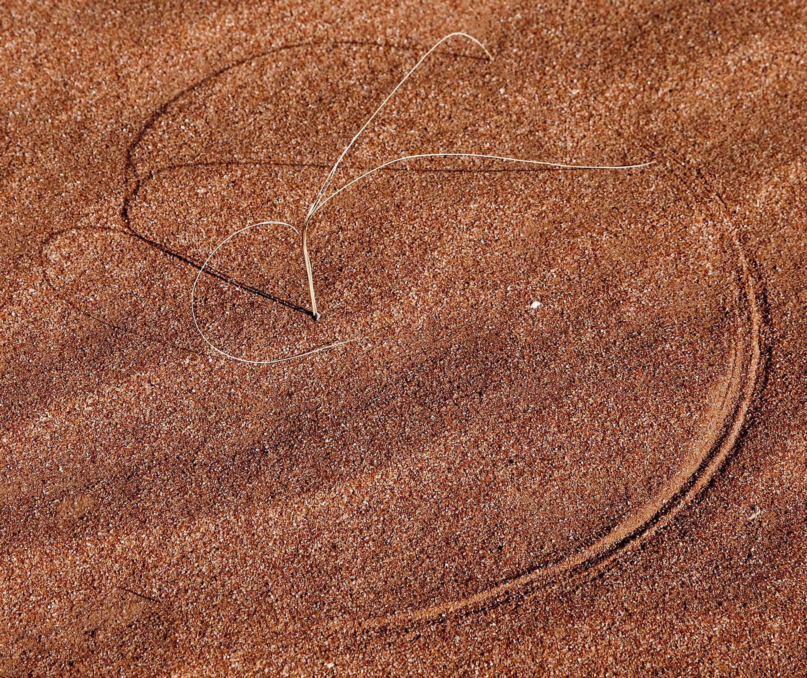 The American West 27 