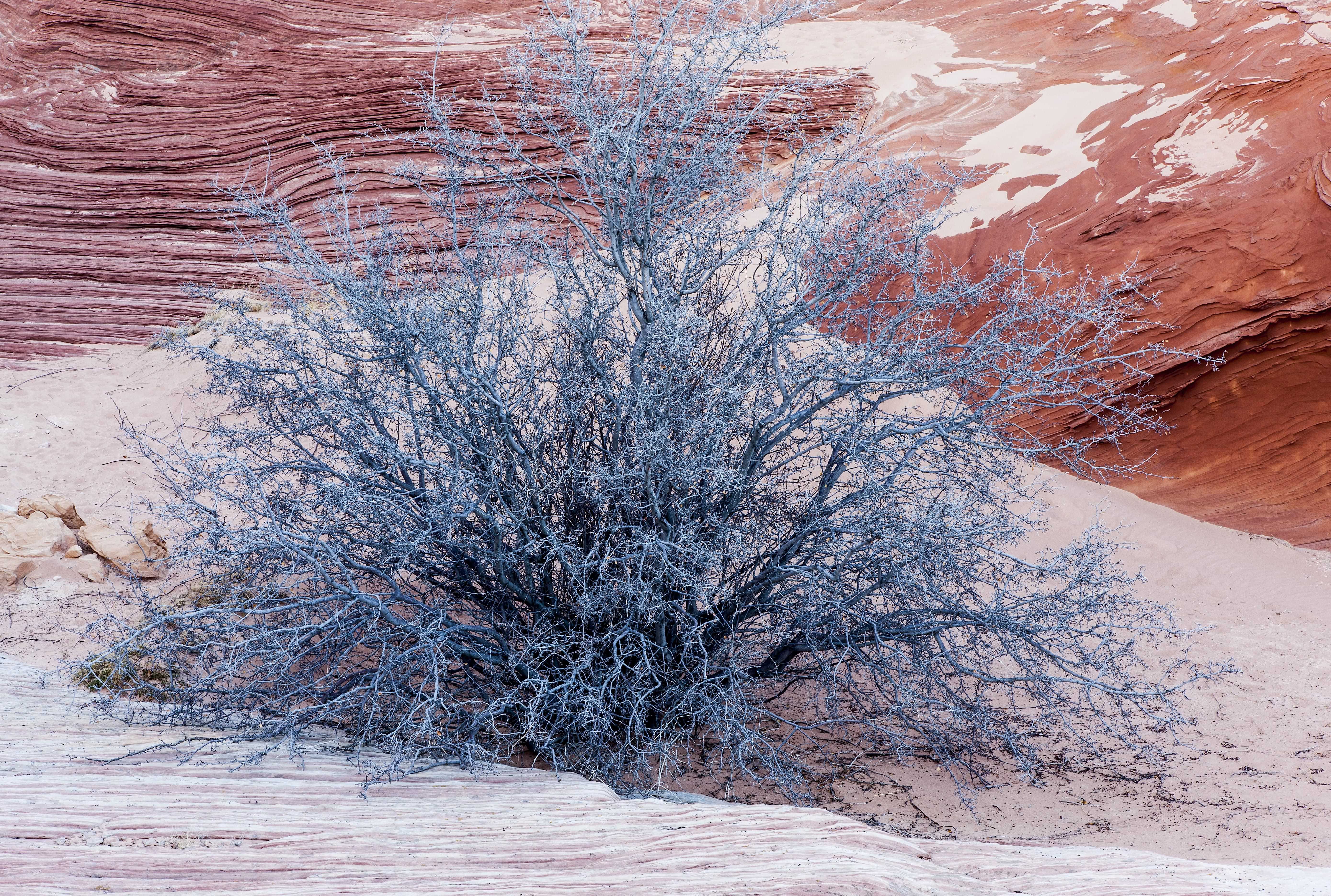 The American West 32 