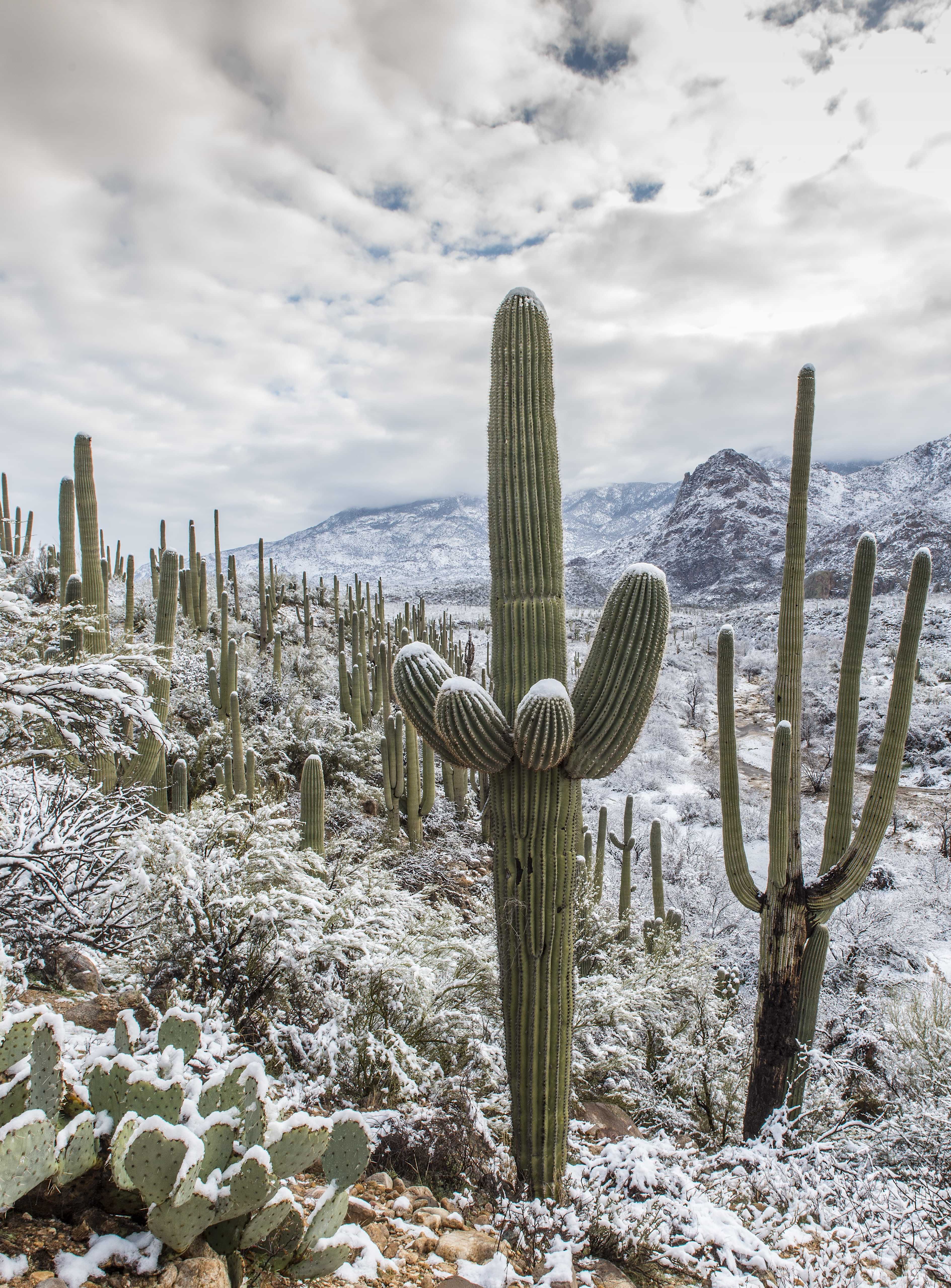 The American West 38 