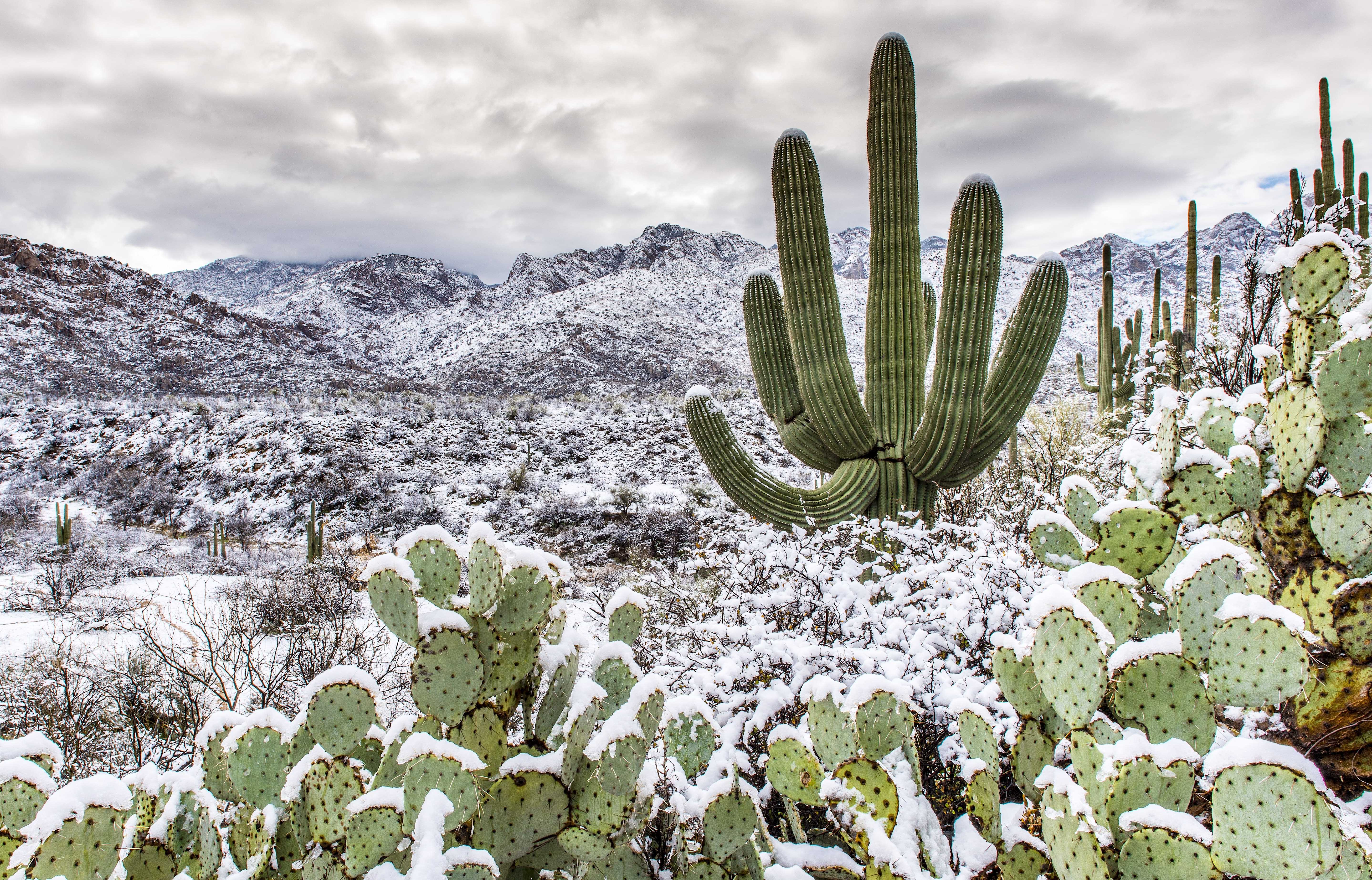 The American West 40 