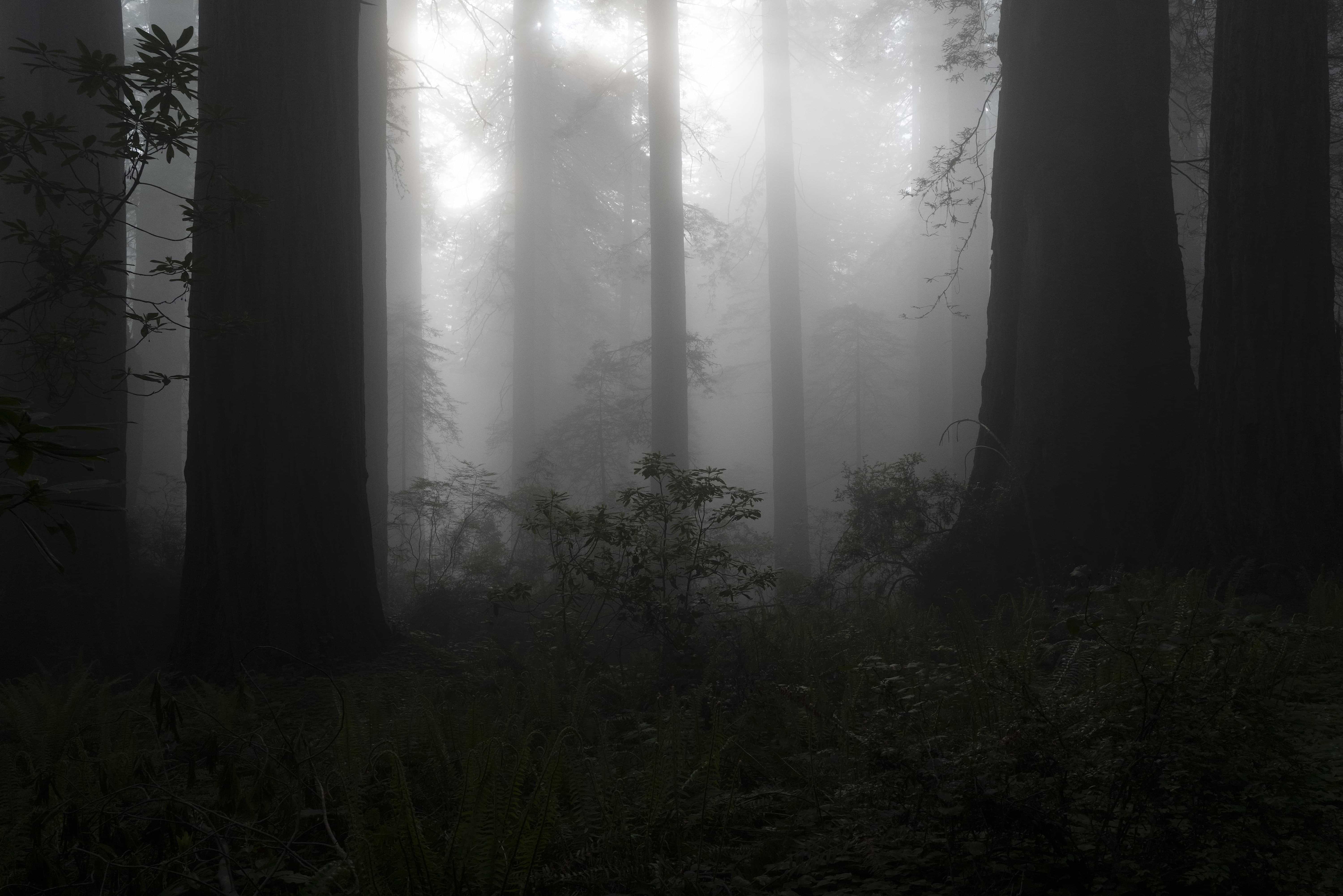 The American West 48 