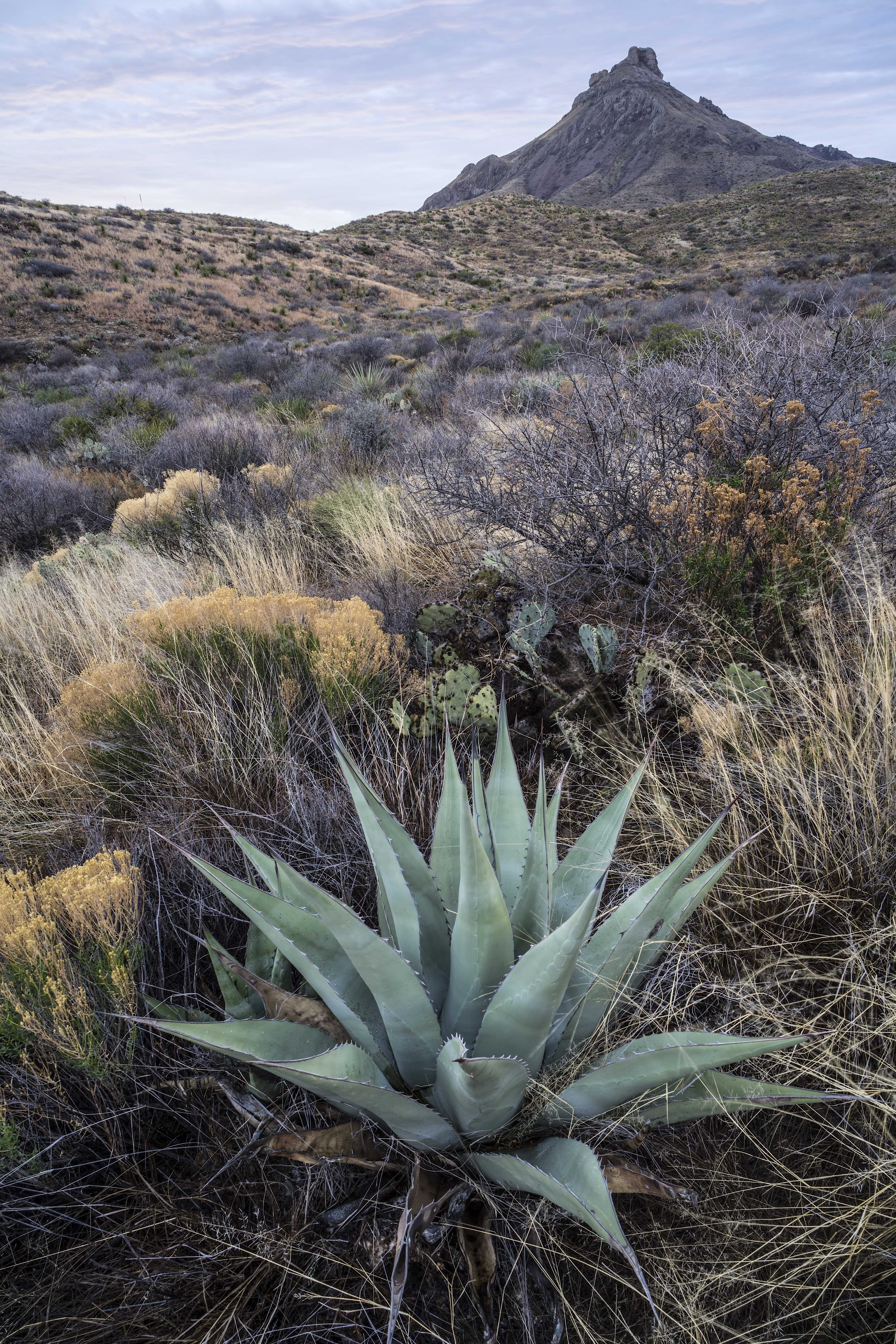 The American West 55 