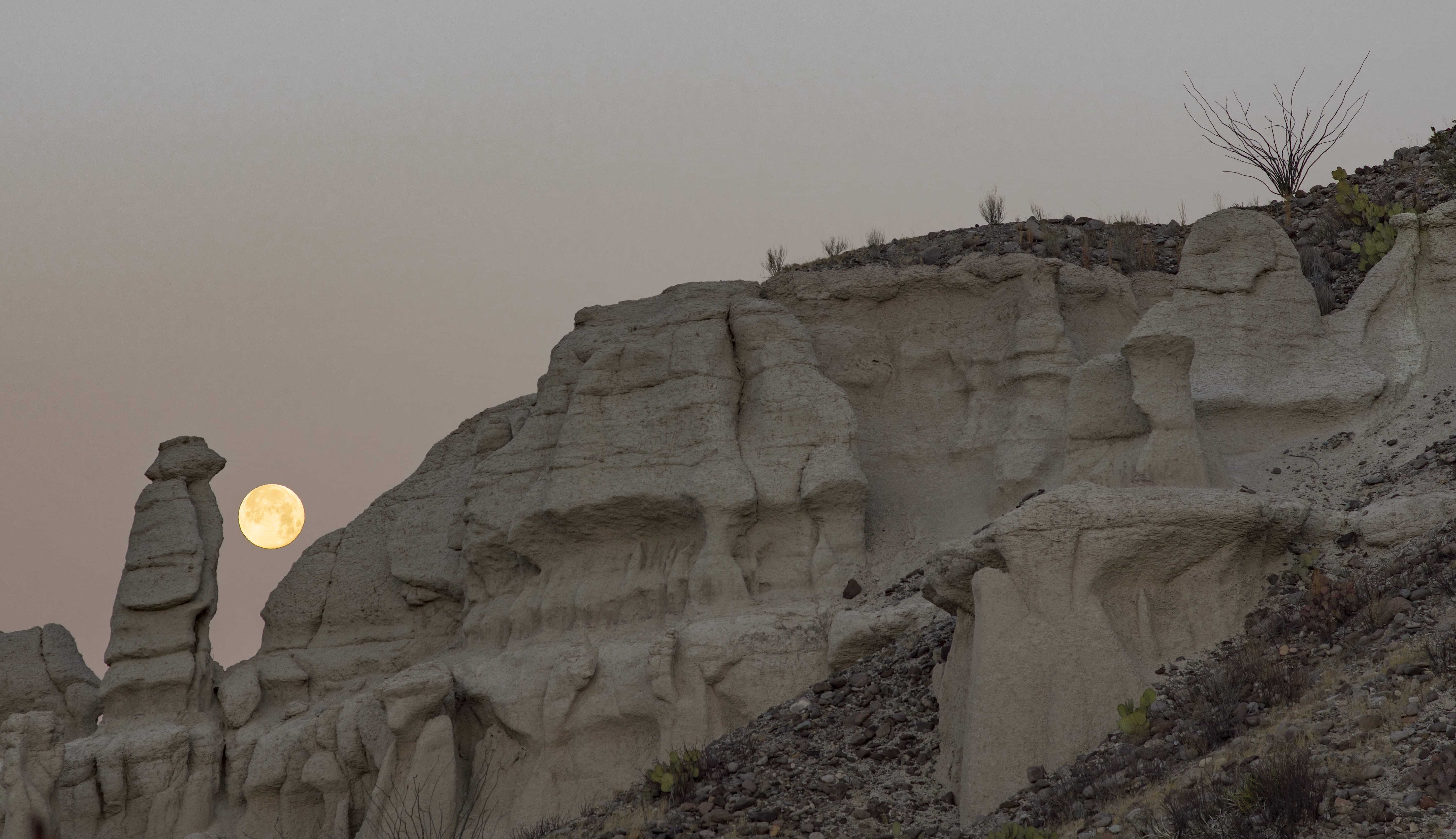 The American West 56 