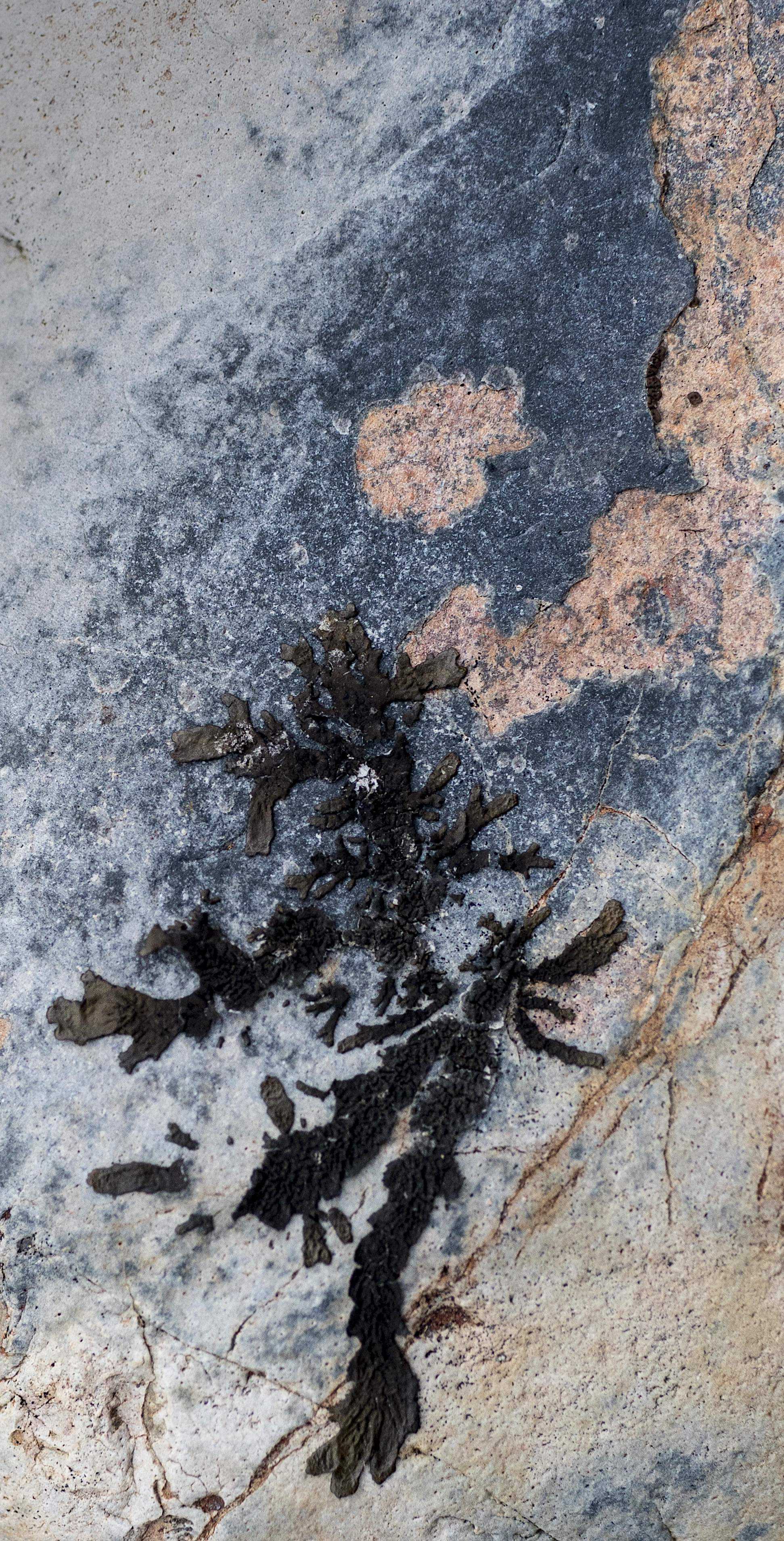 Patagonia and the Atacama 02 