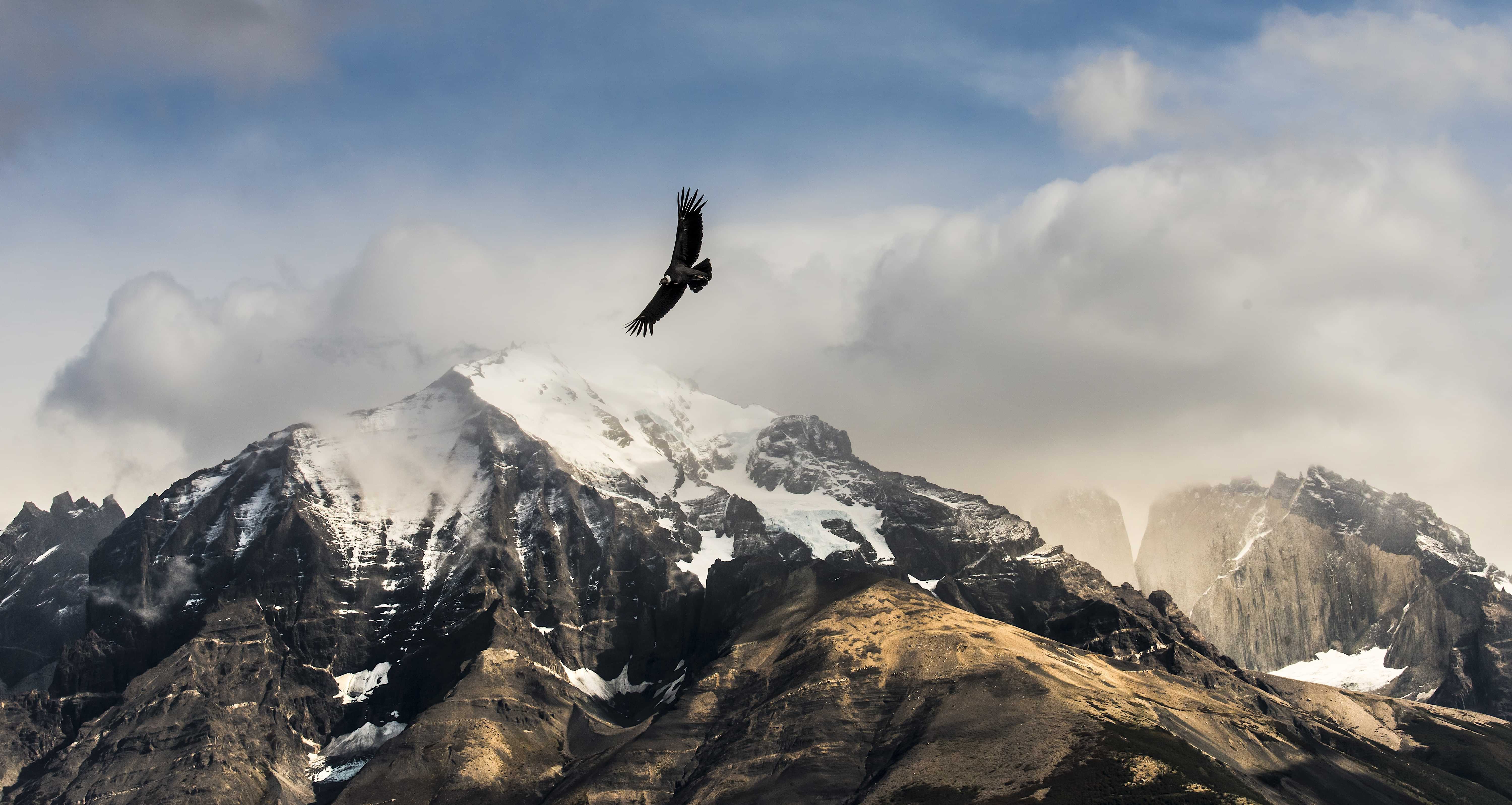 Patagonia and the Atacama 03 