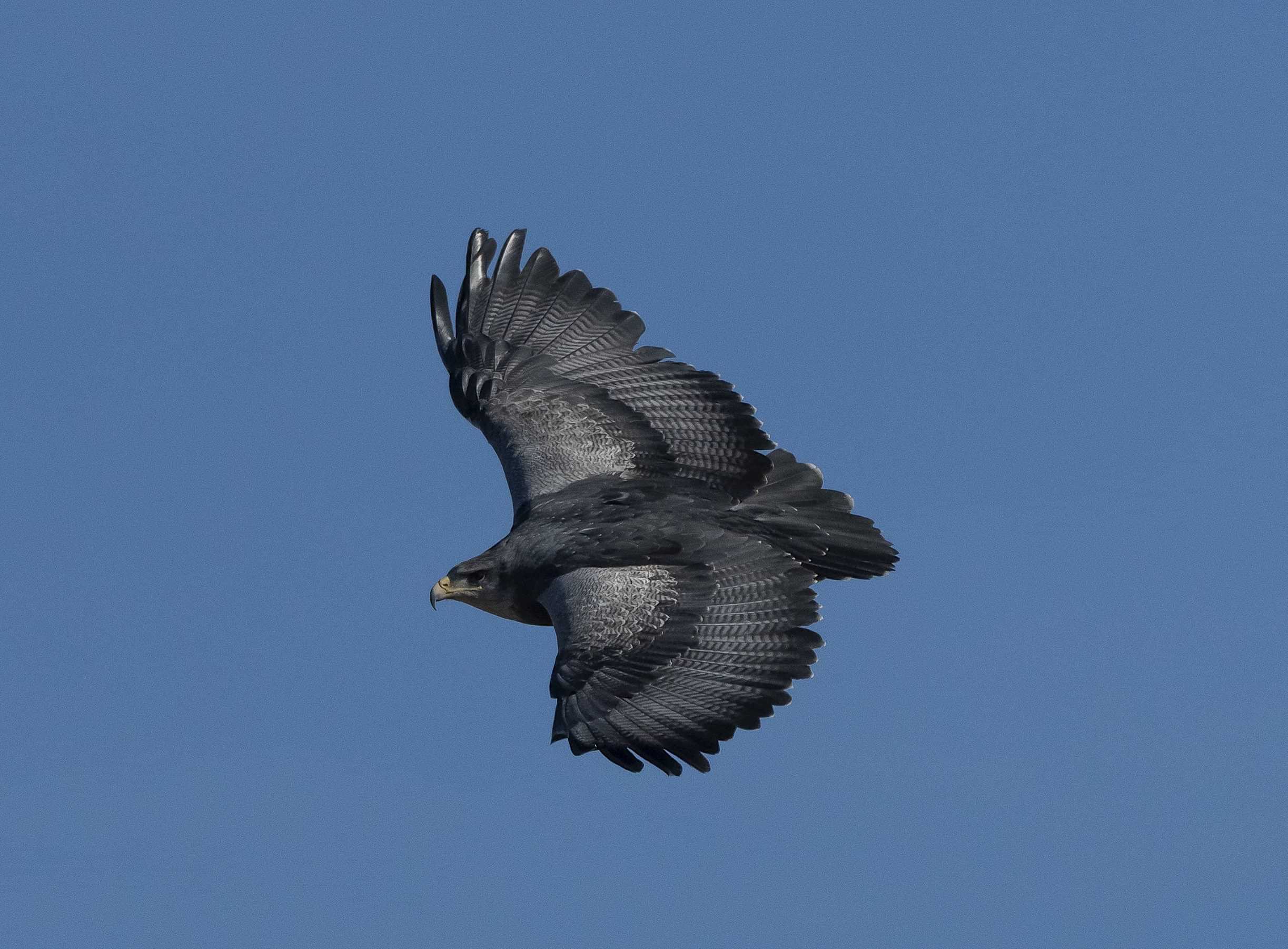 Patagonia and the Atacama 16 