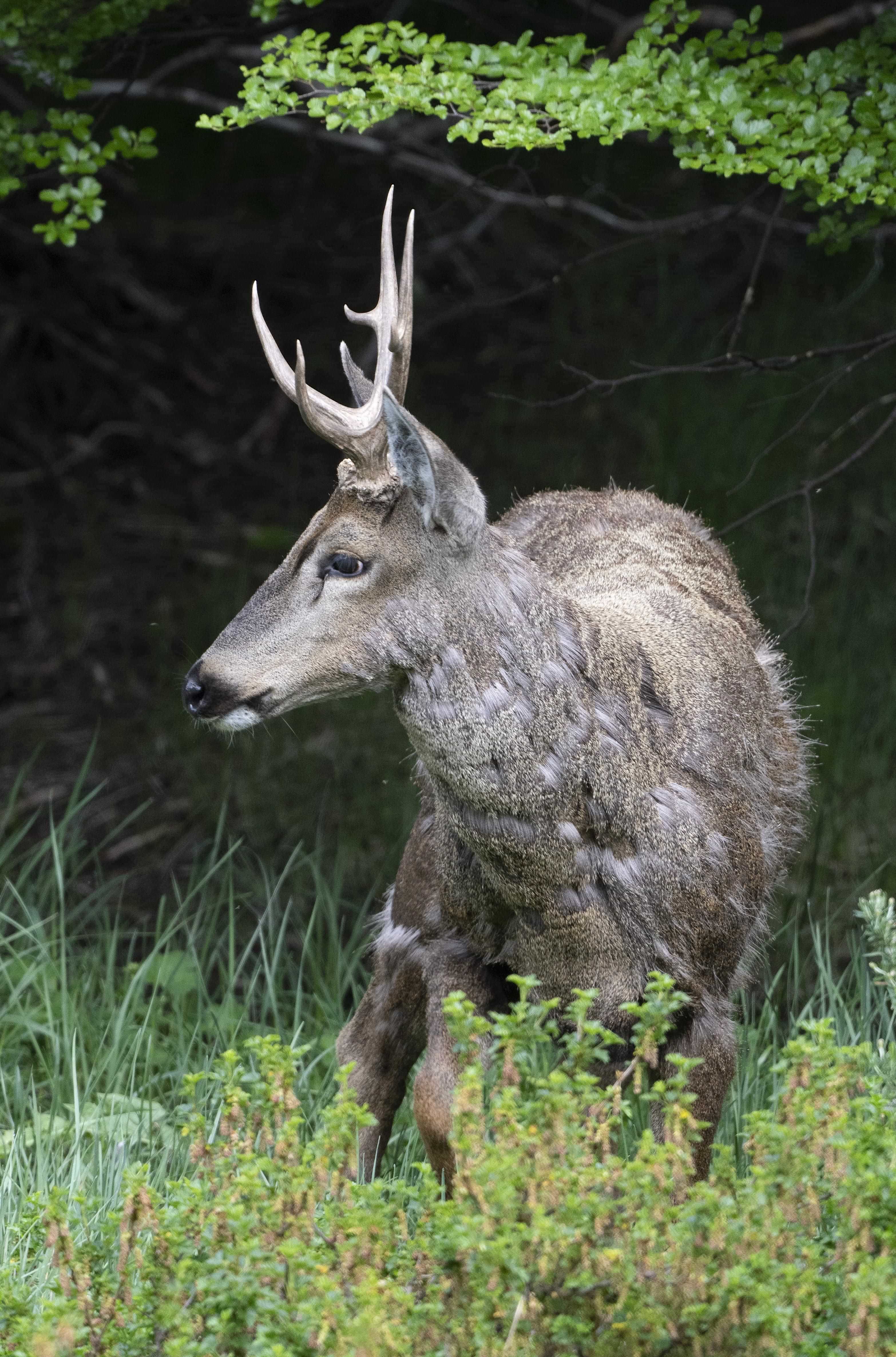 Patagonia and the Atacama 22 