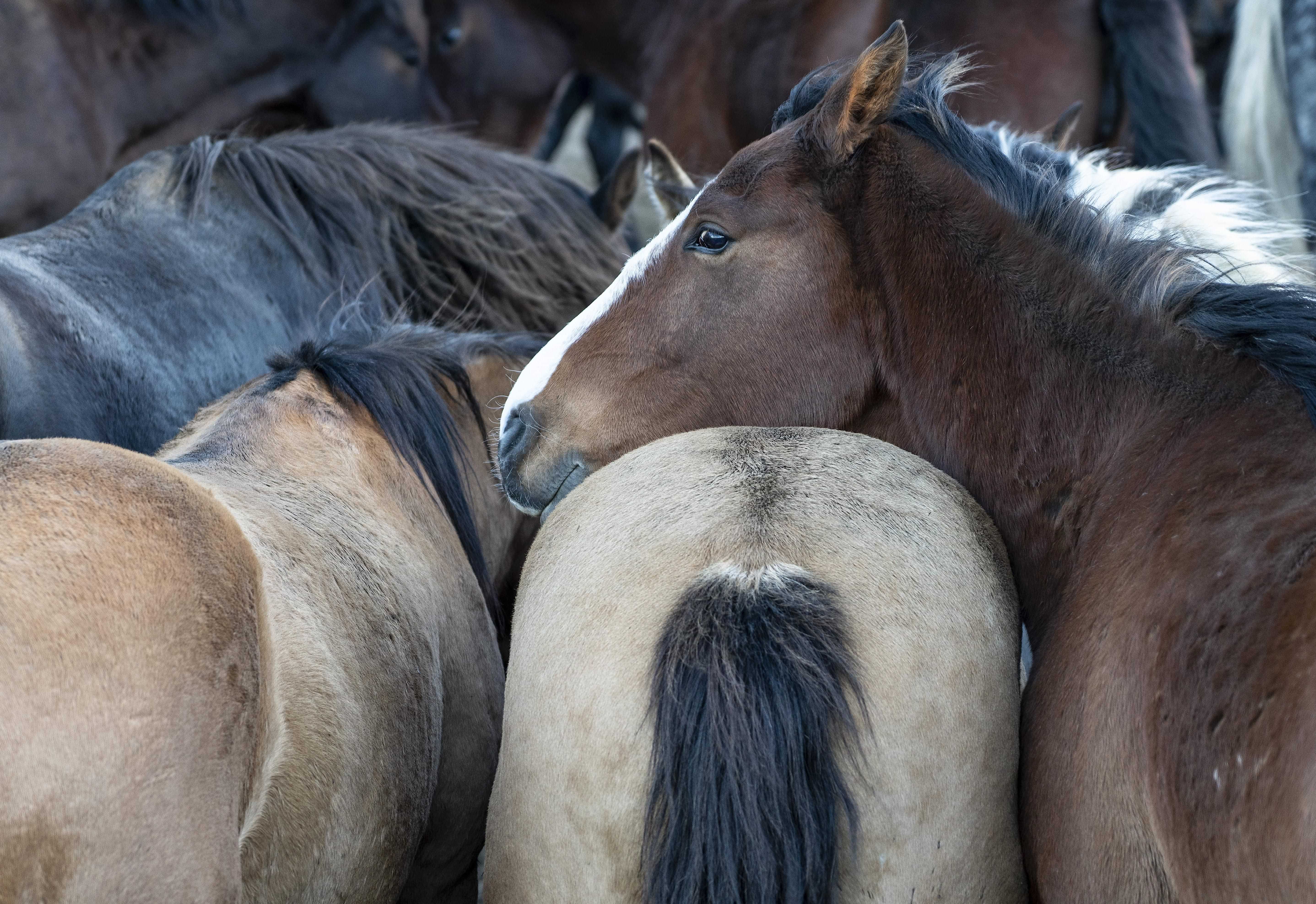 Patagonia and the Atacama 33 