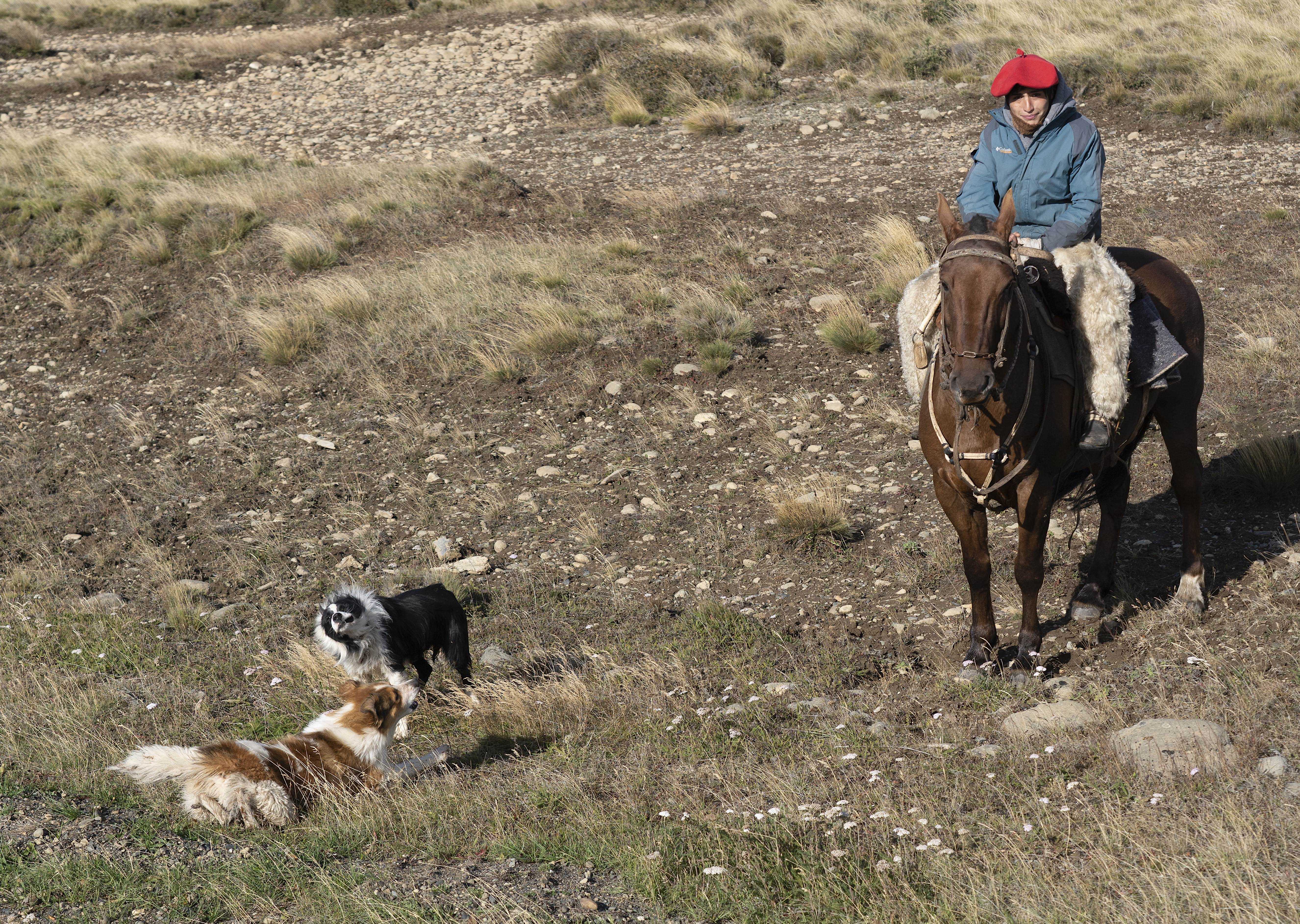 Patagonia and the Atacama 35 