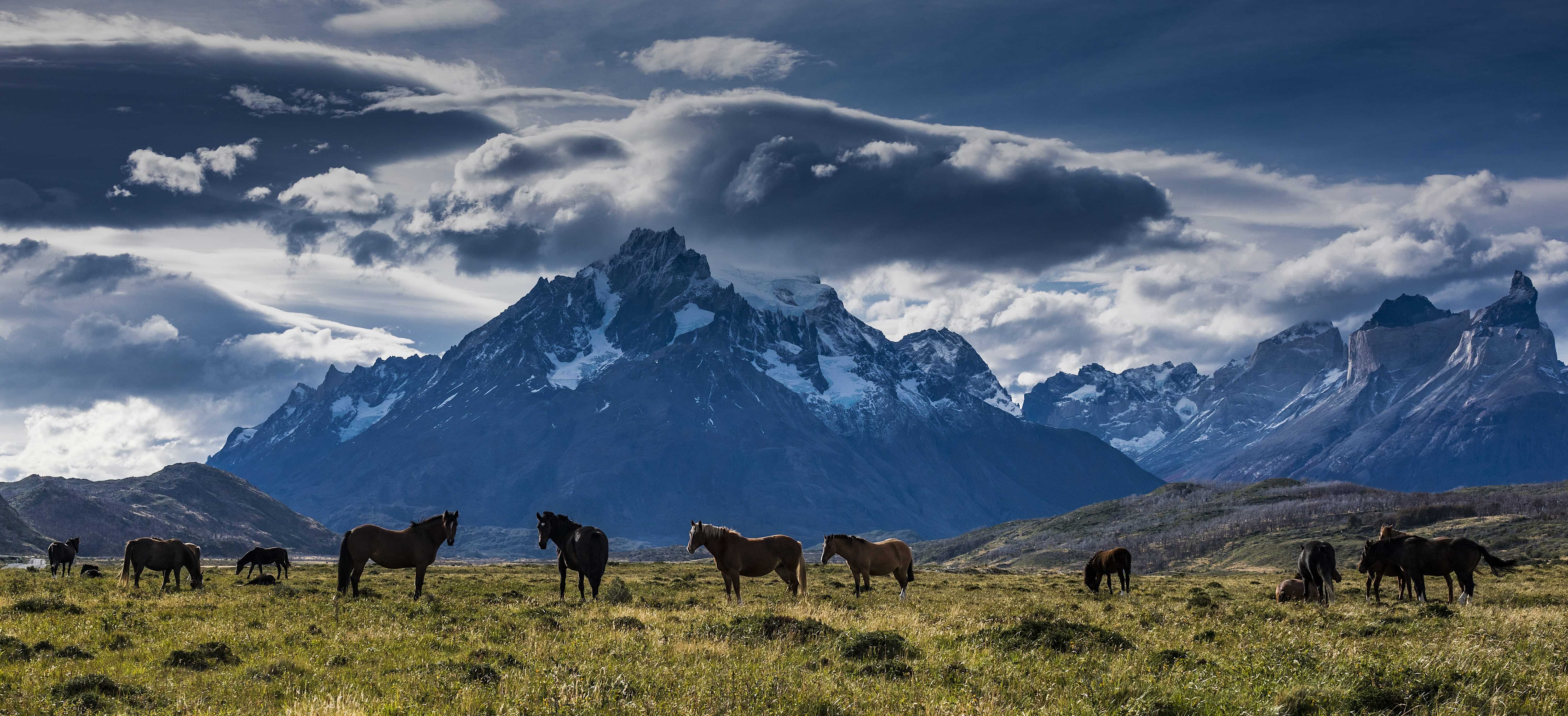 Patagonia and the Atacama 37 