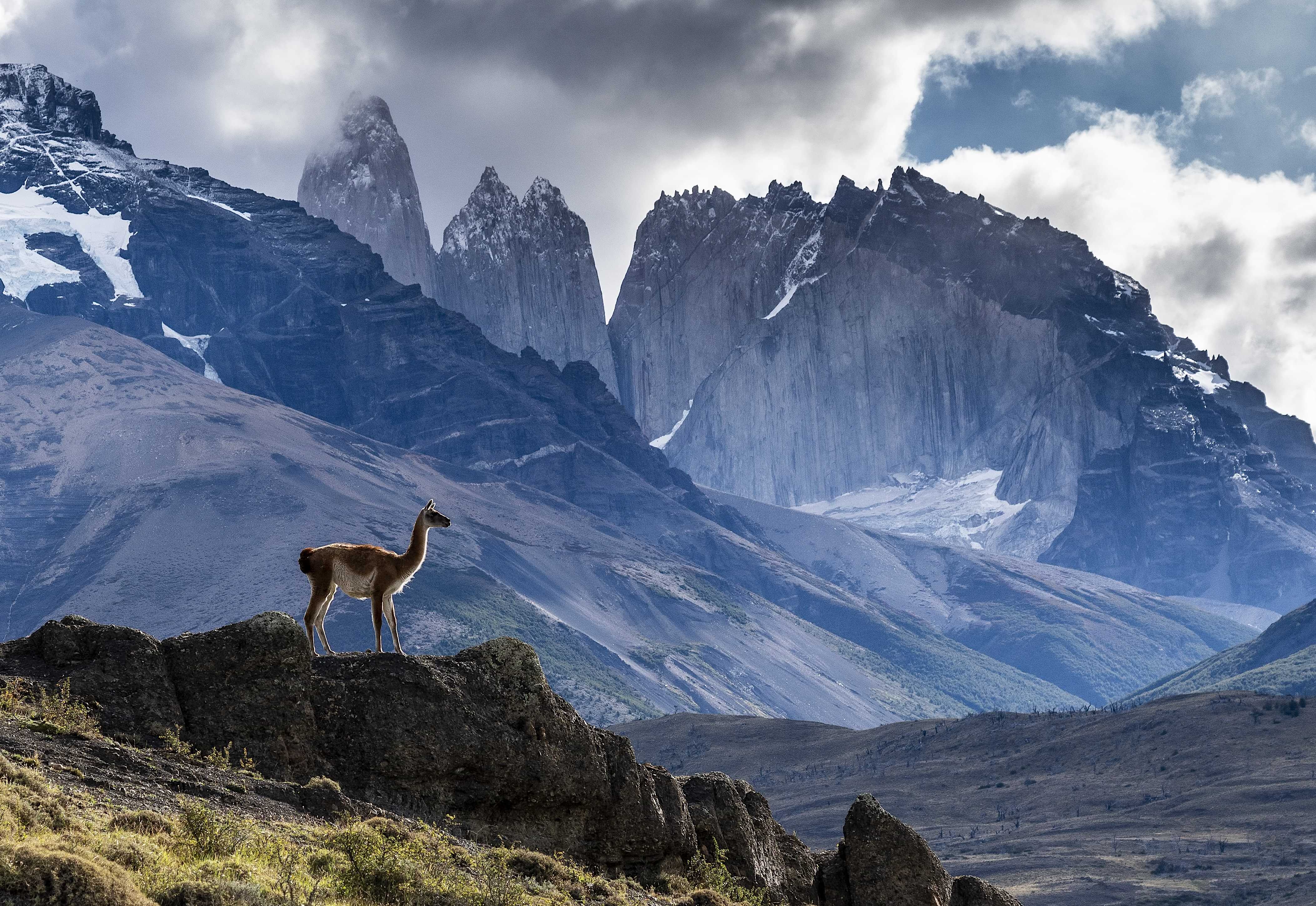 Patagonia and the Atacama 44 