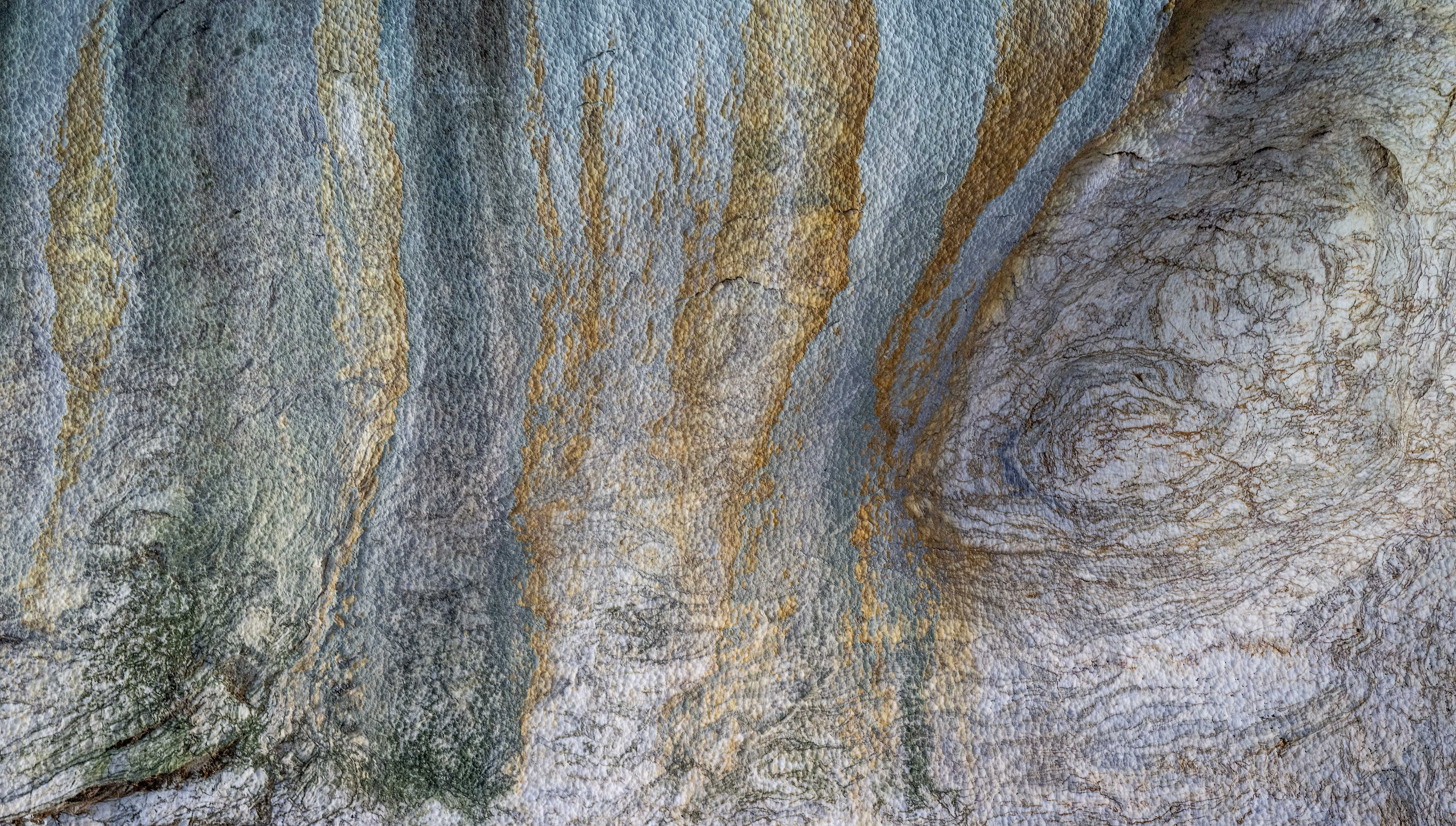 Patagonia and the Atacama 51 