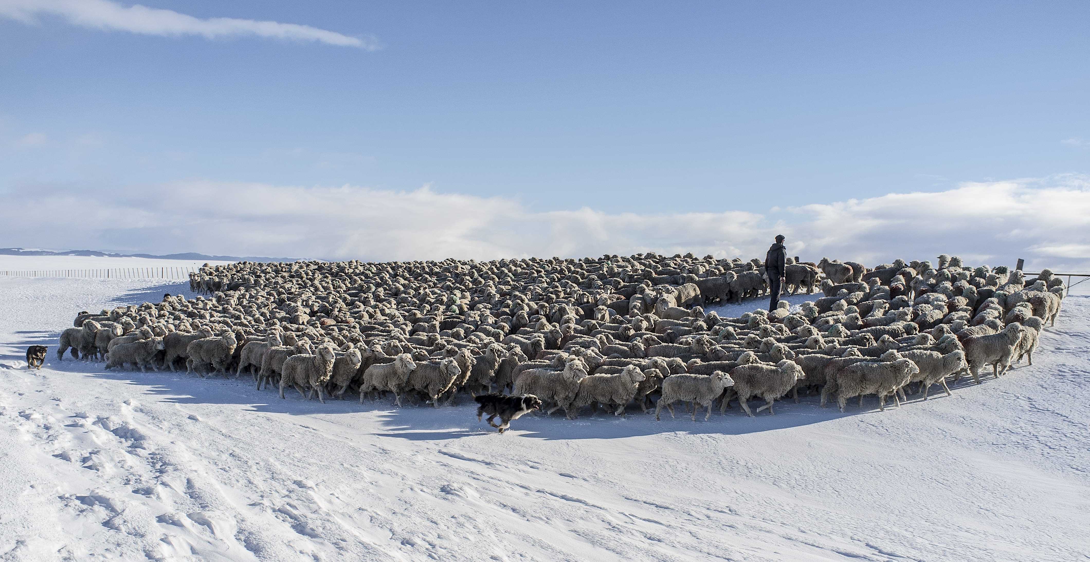 Patagonia and the Atacama 56 