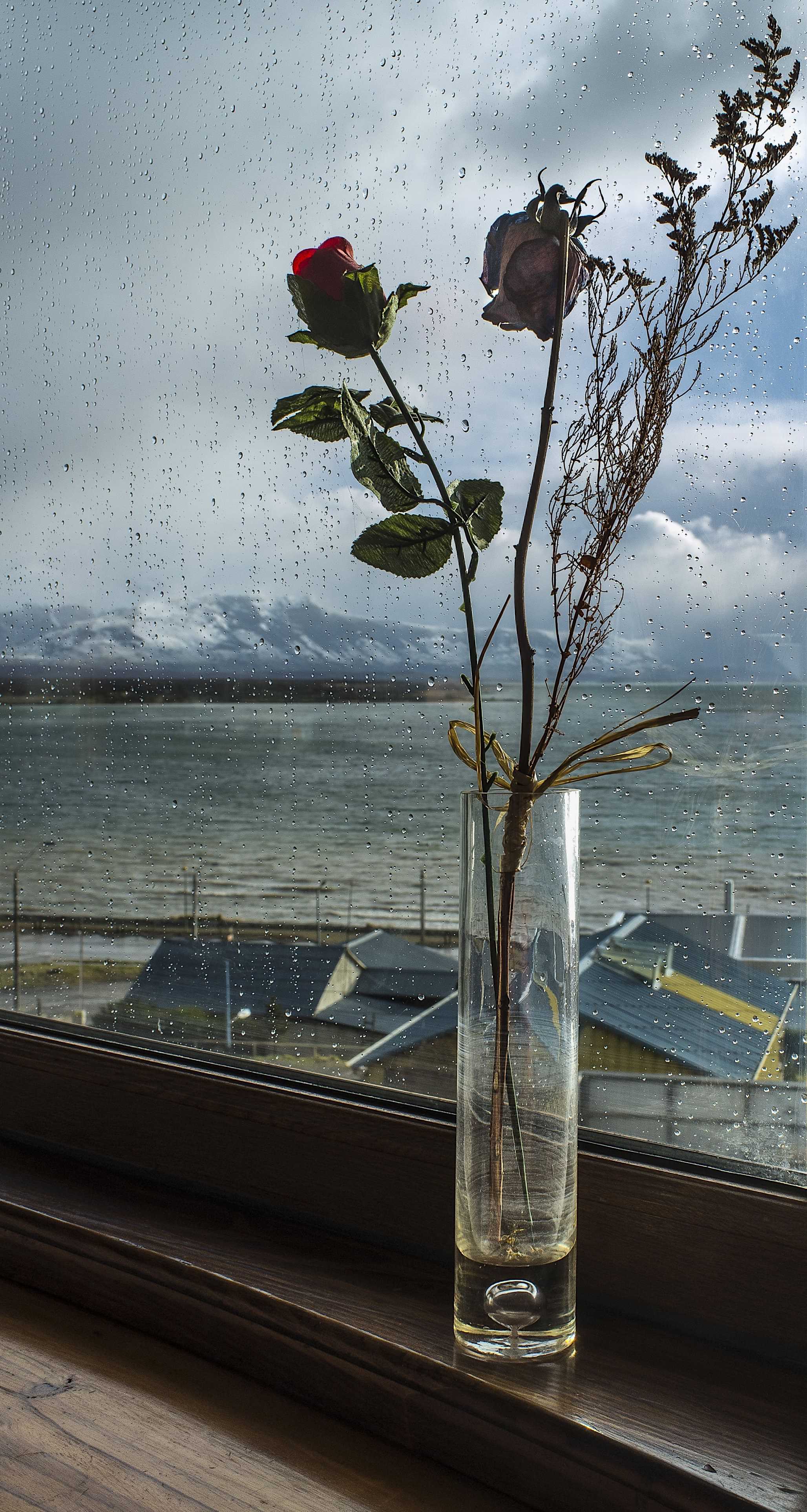 Patagonia and the Atacama 59 