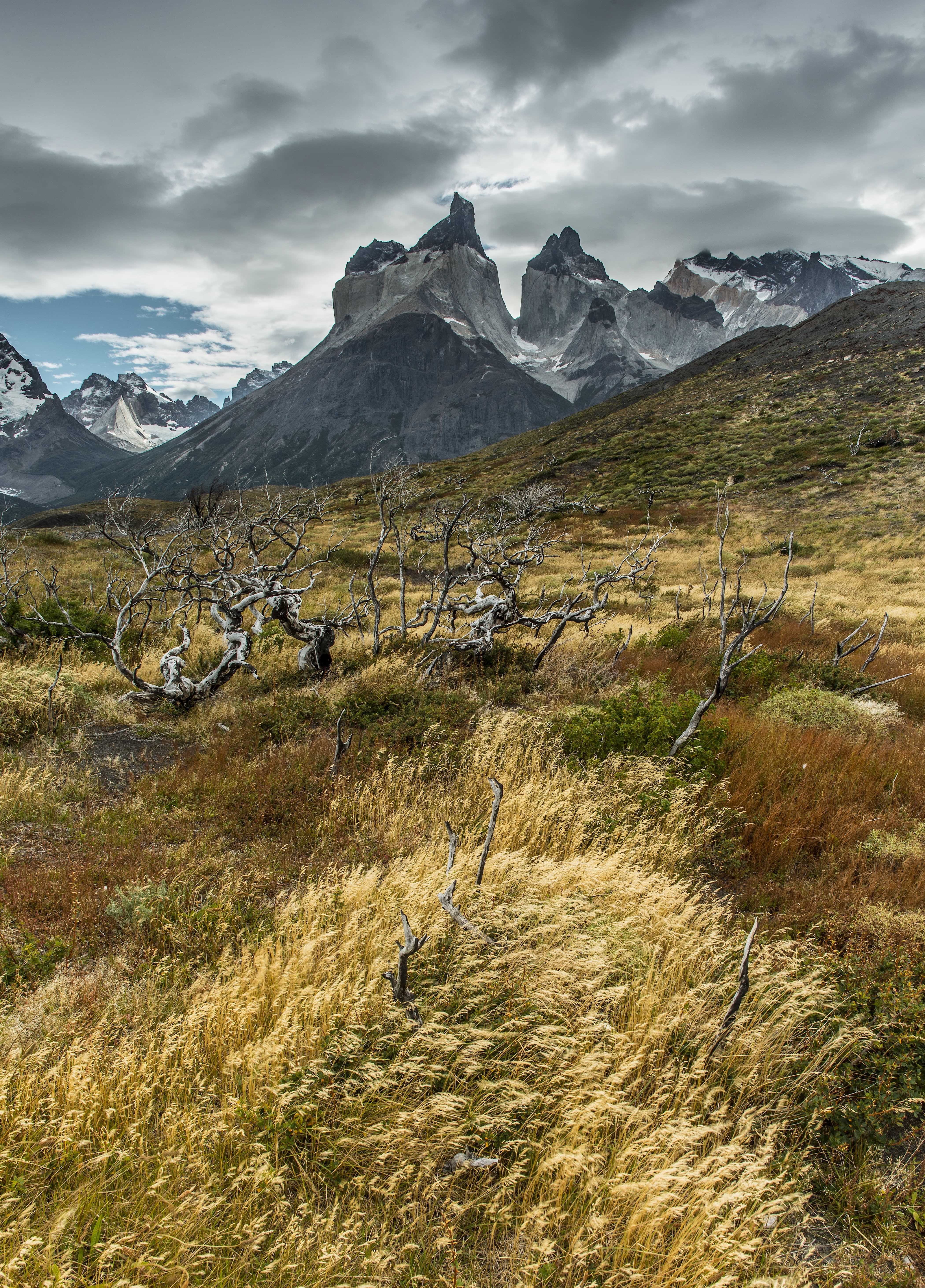 Patagonia and the Atacama 61 