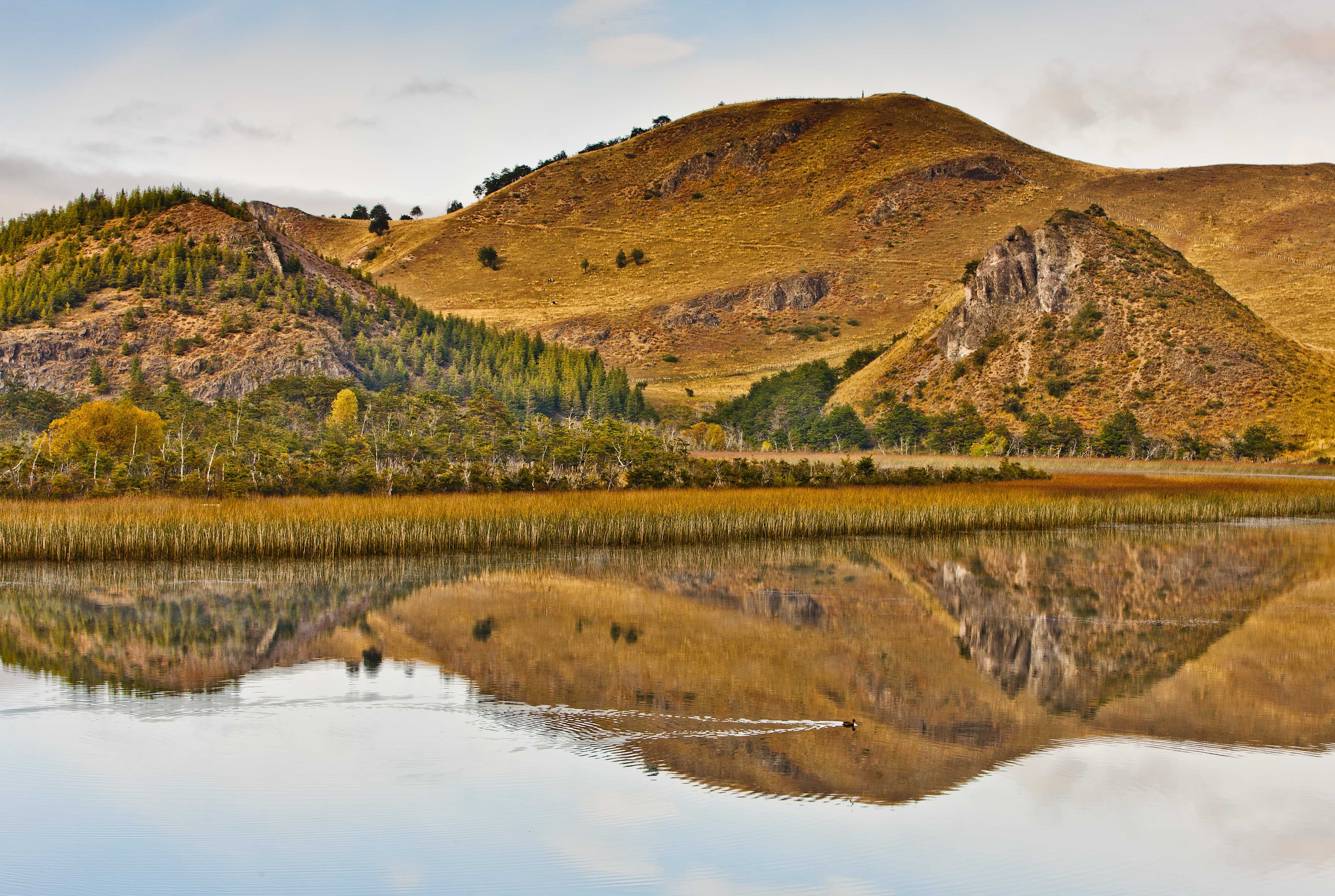 Patagonia and the Atacama 62 