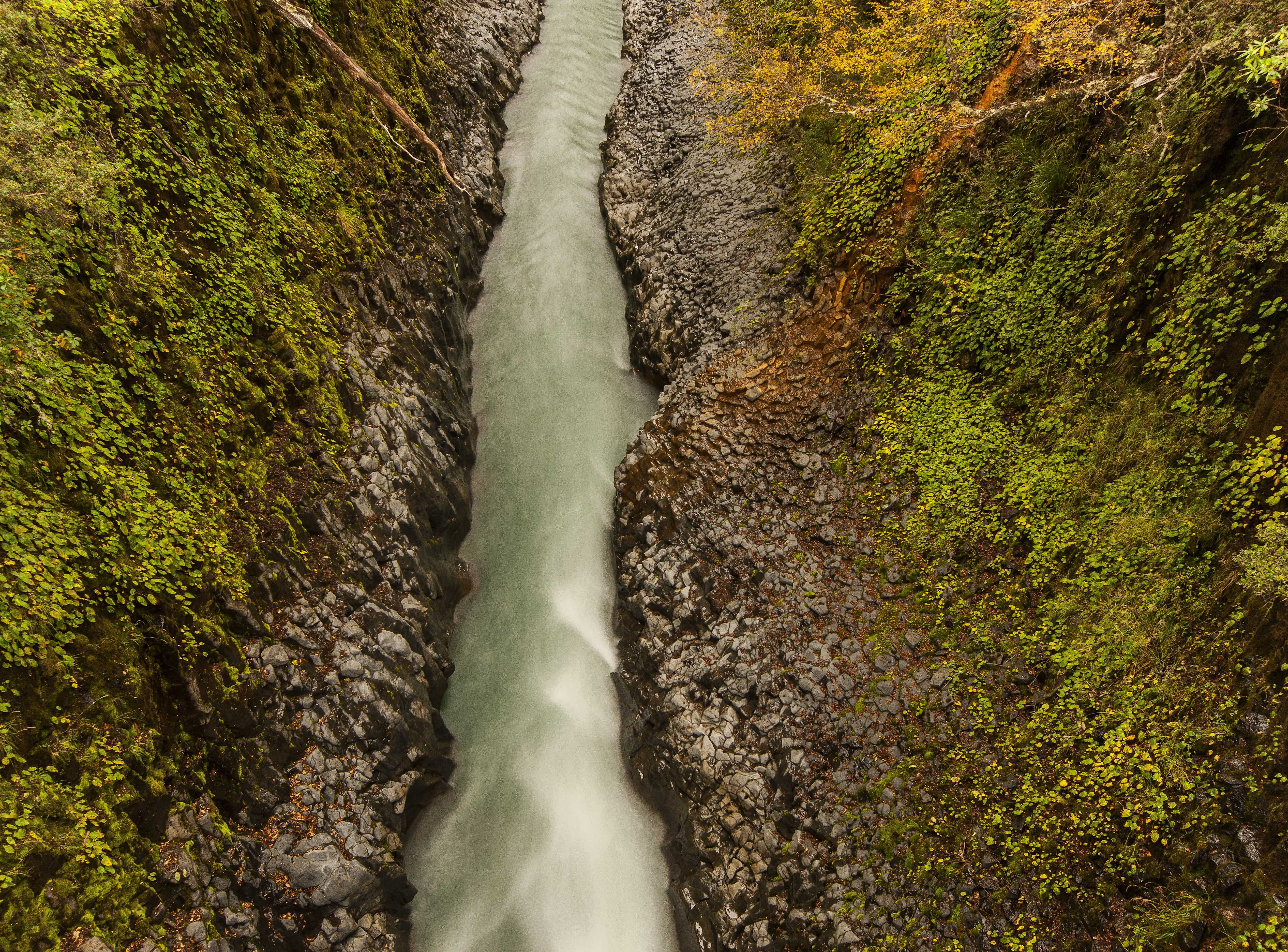 Patagonia and the Atacama 63 