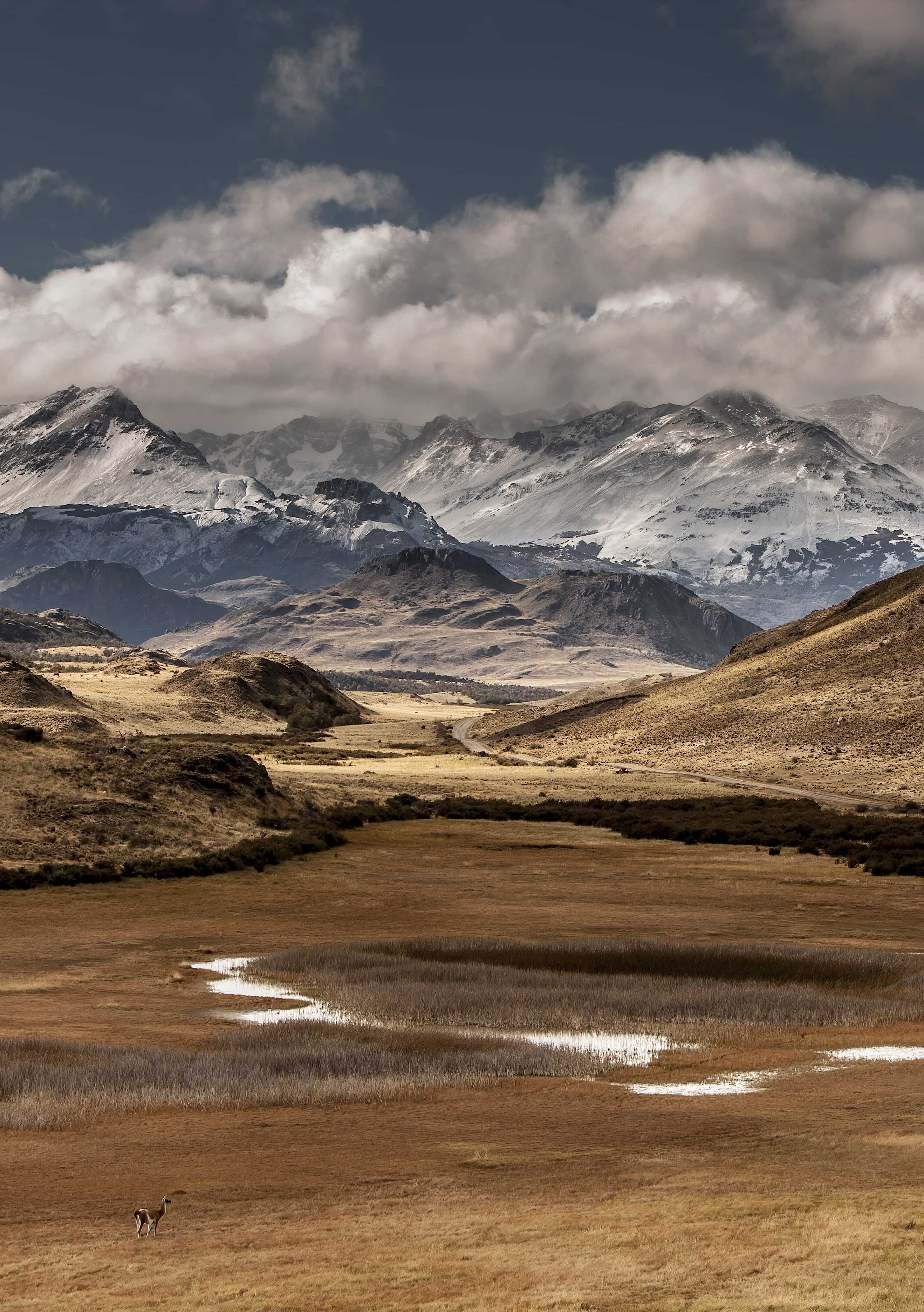 Patagonia and the Atacama 64 