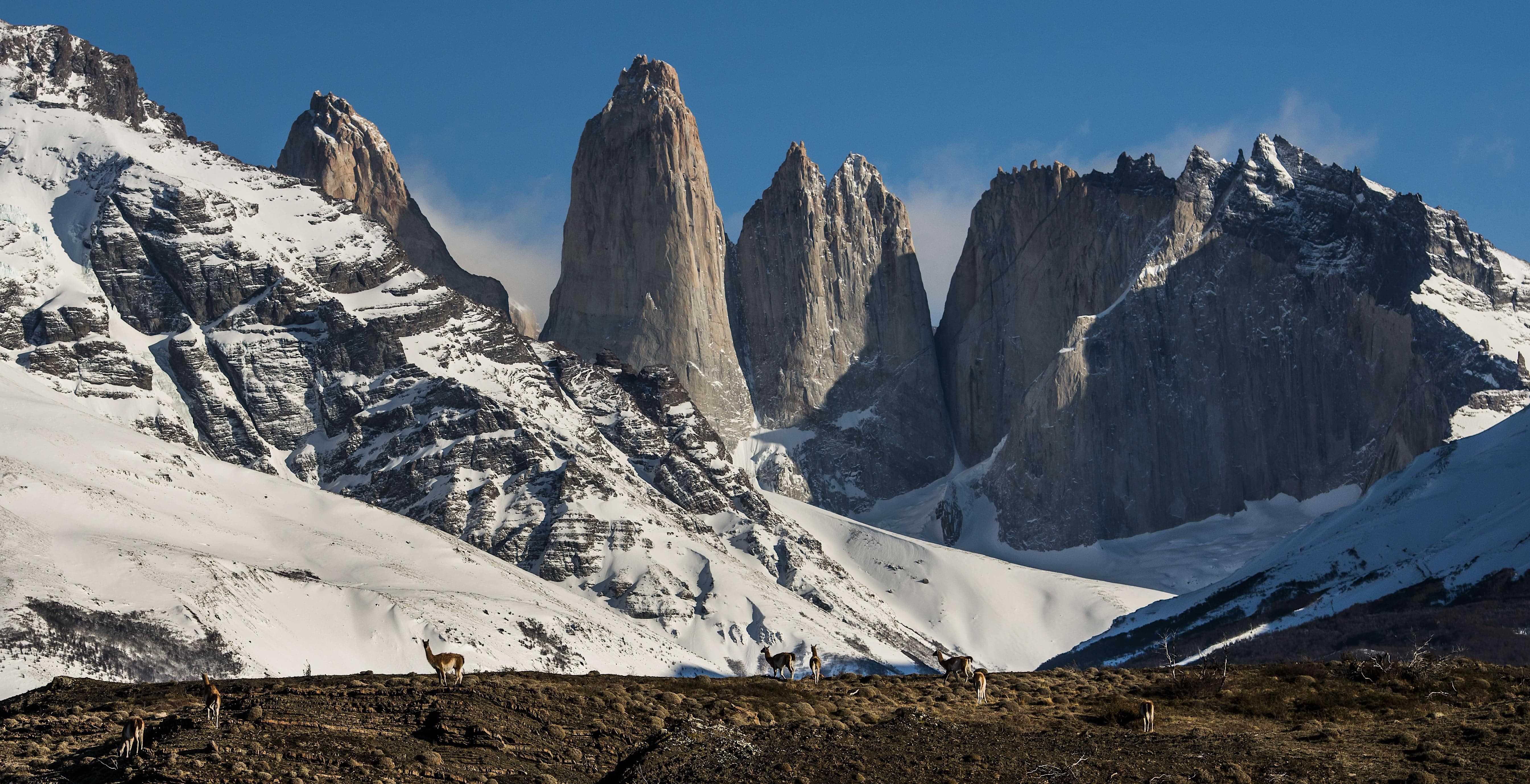 Patagonia and the Atacama 71 