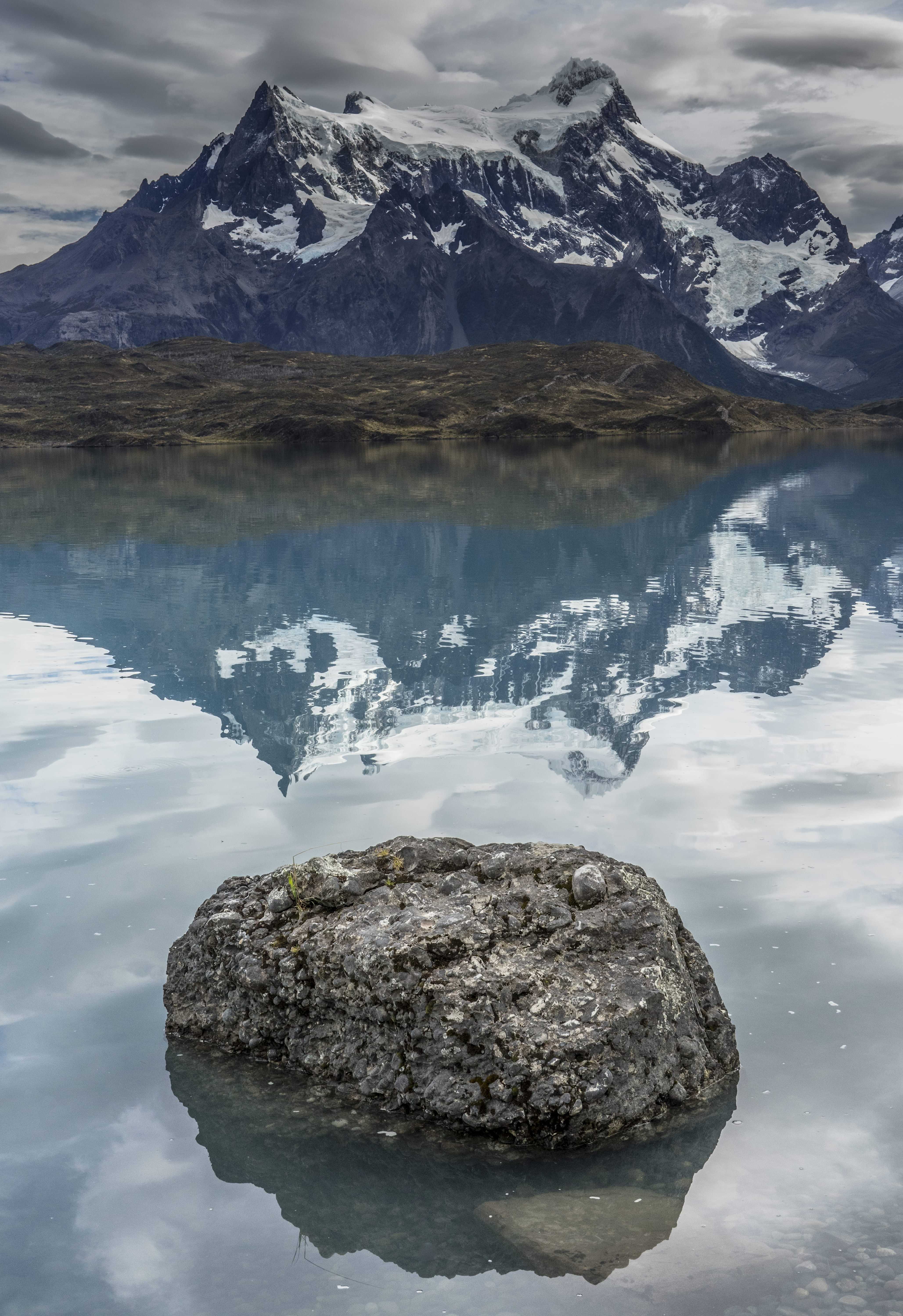 Patagonia and the Atacama 82 