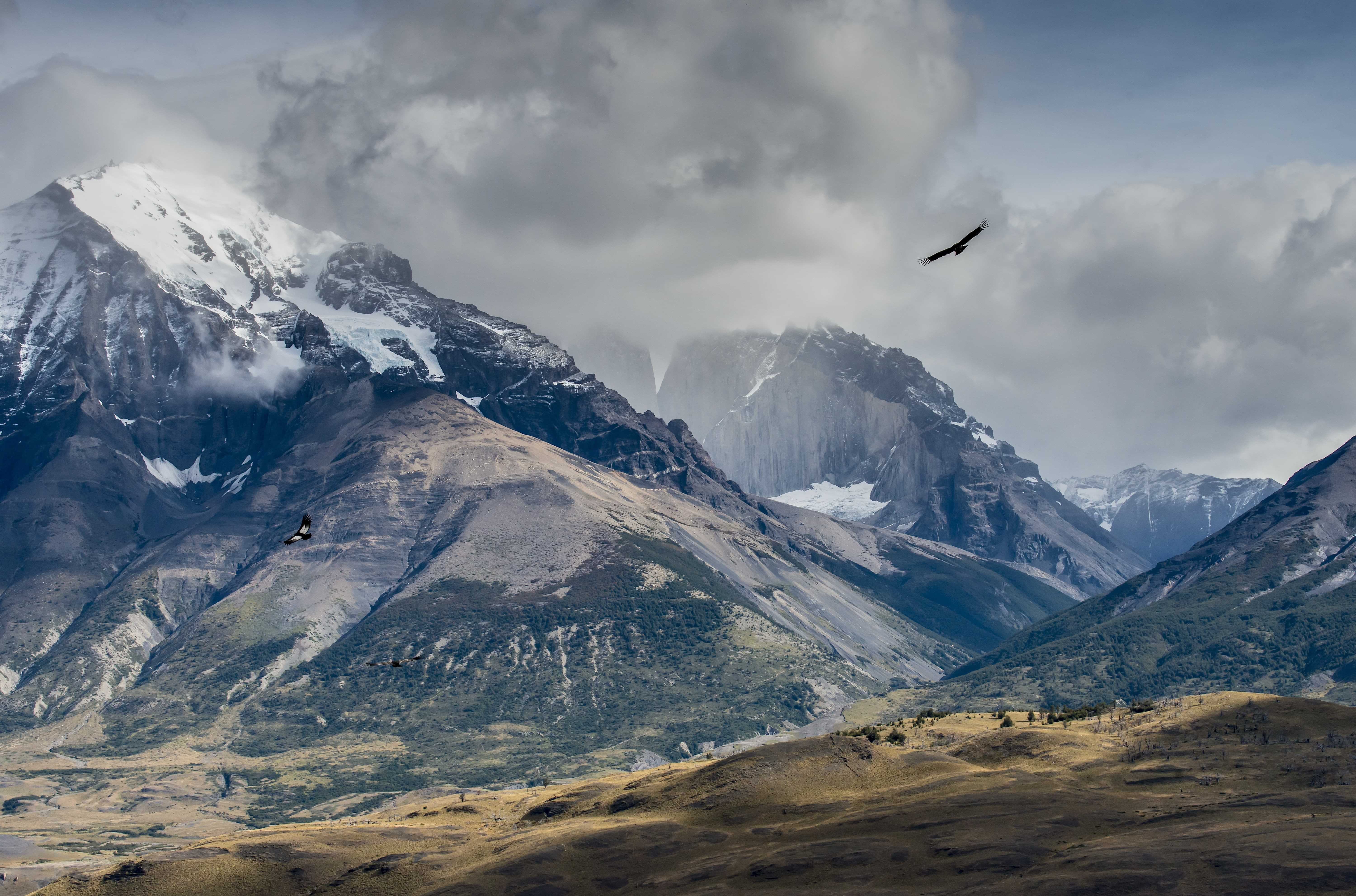 Patagonia and the Atacama 84 