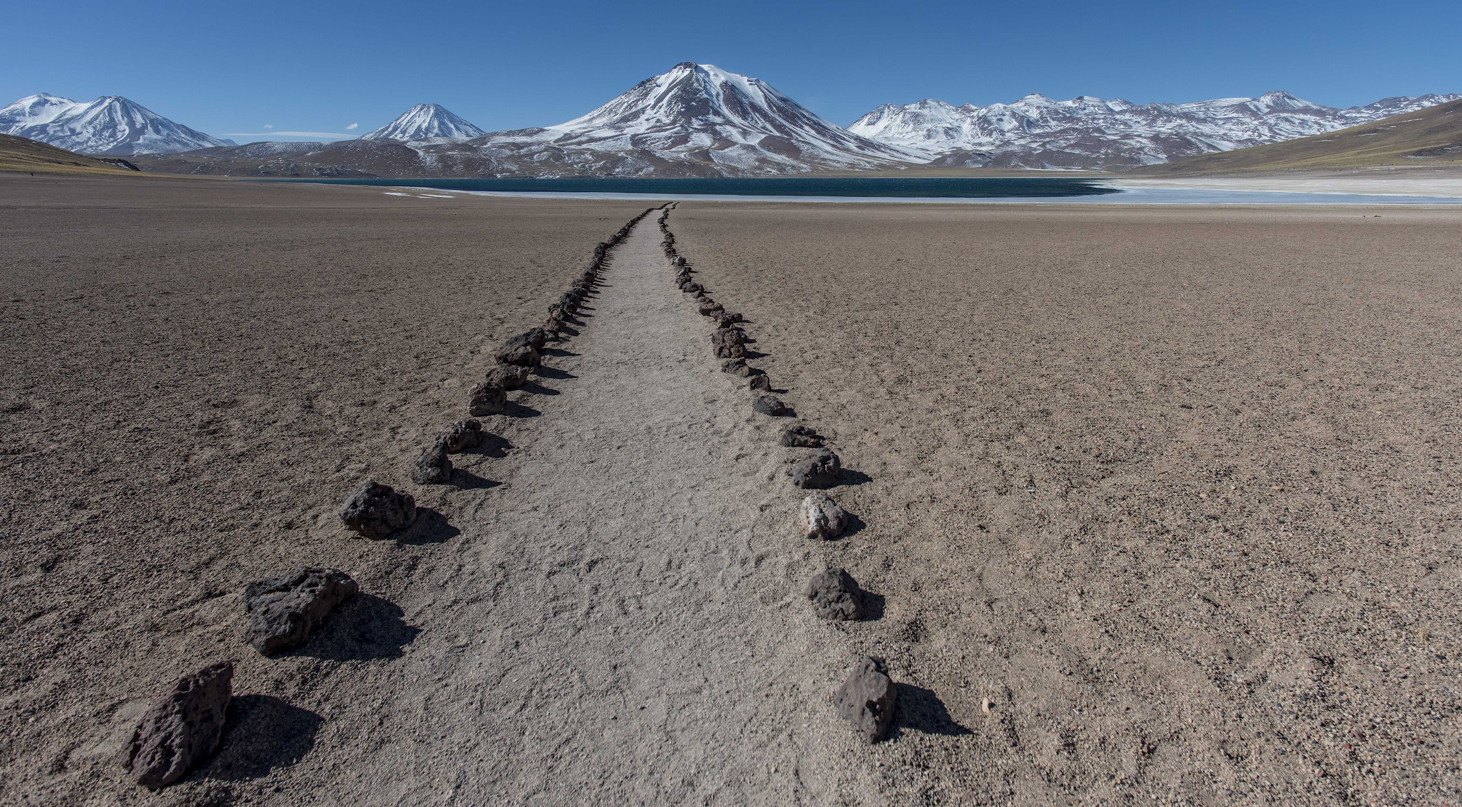 Patagonia and the Atacama 91 