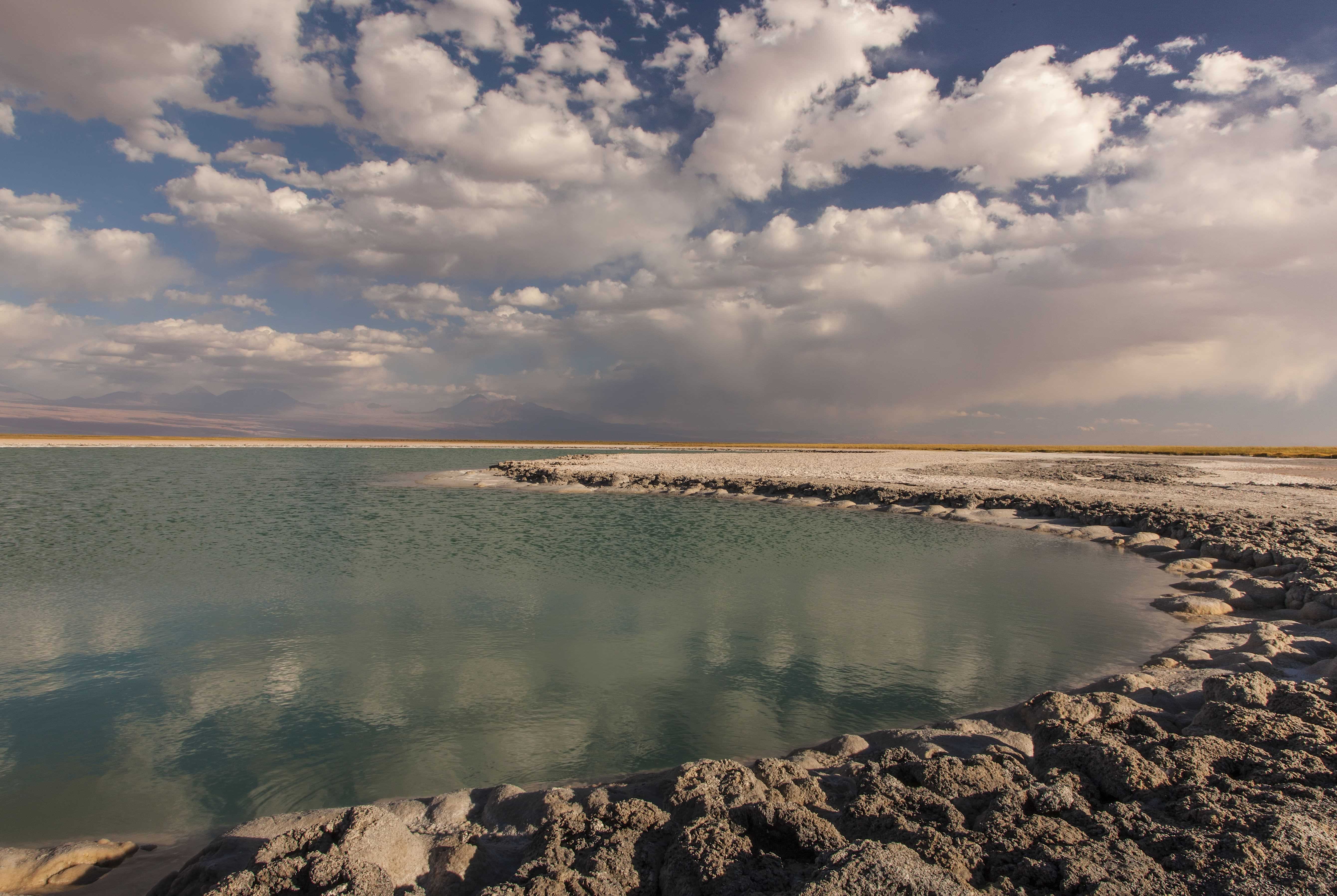 Patagonia and the Atacama 92 